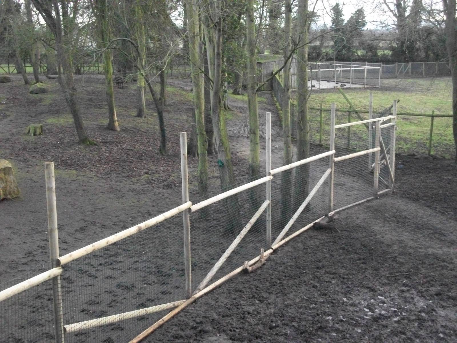 That fence was not there last week II 4th January 2013