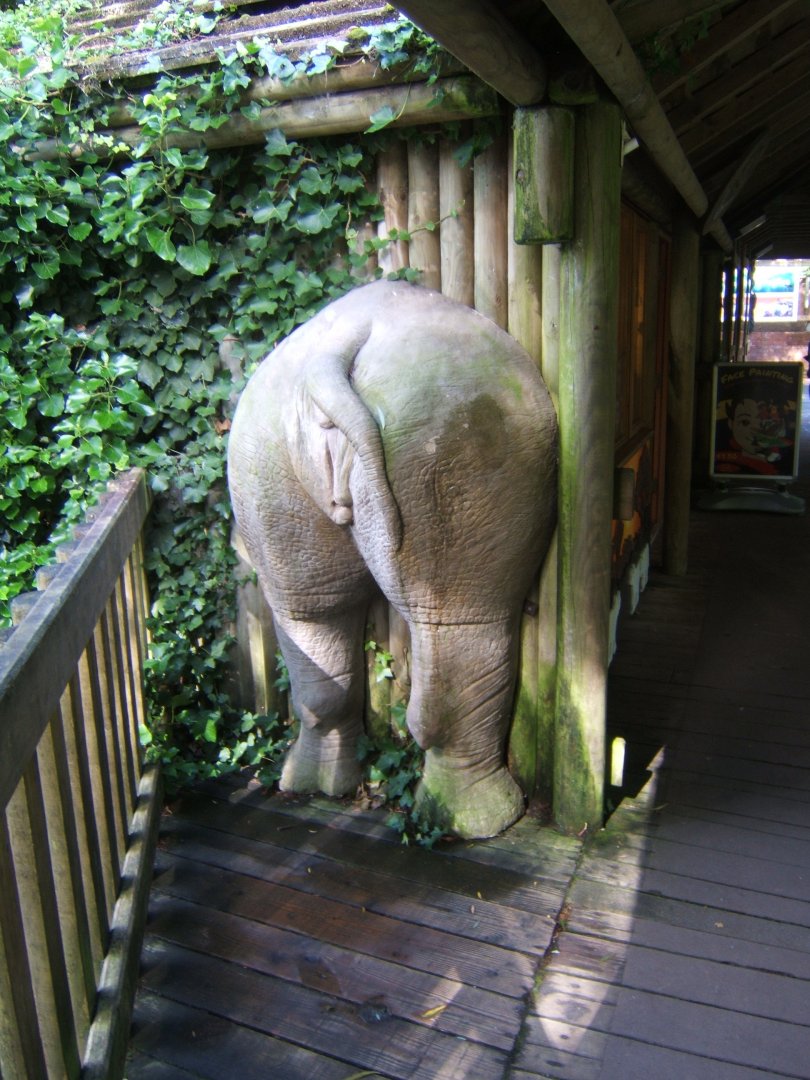 That must have hurt 30/07/2017