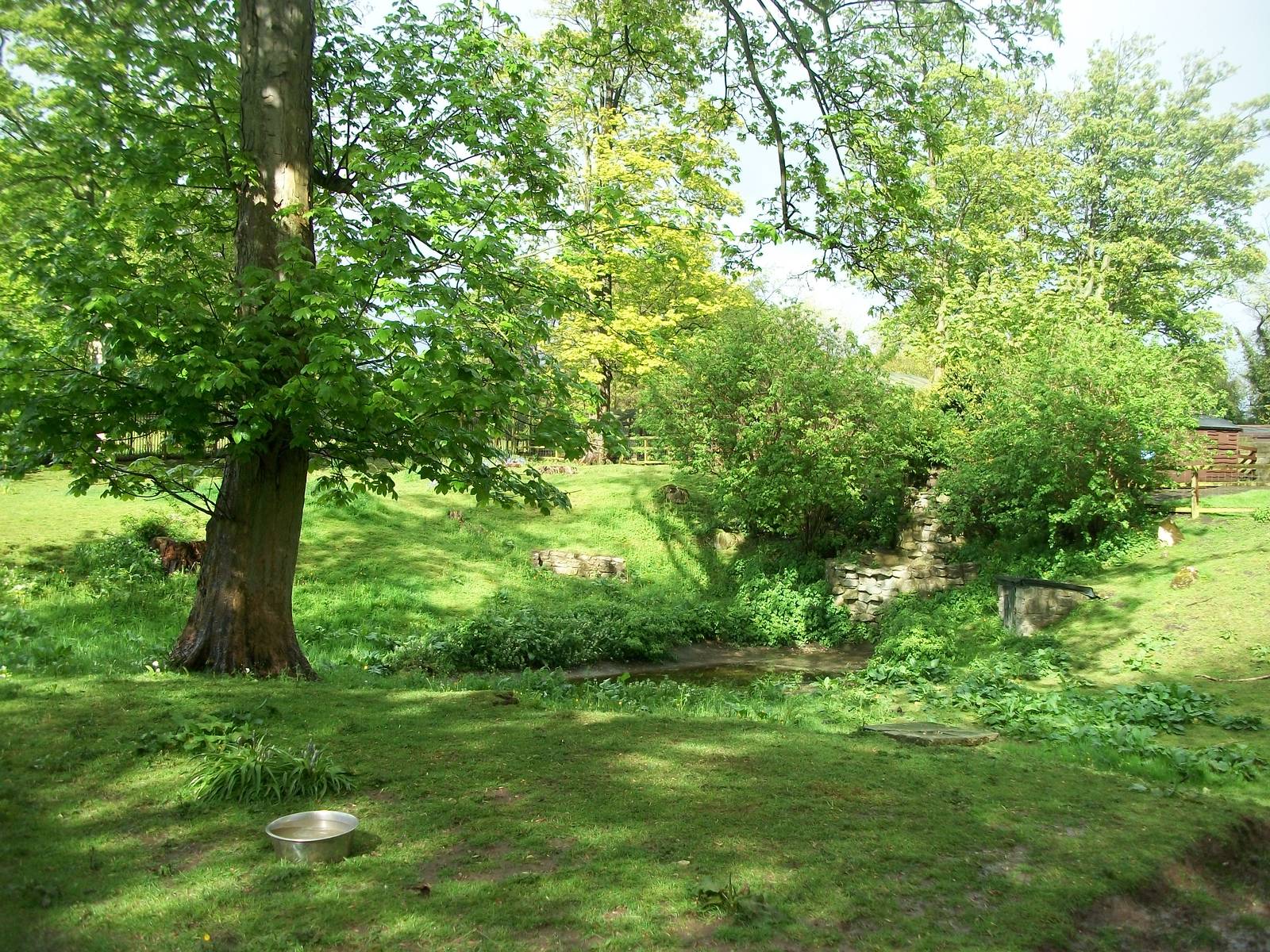That part of the paddock looks a lot nicer, 10th May 2014