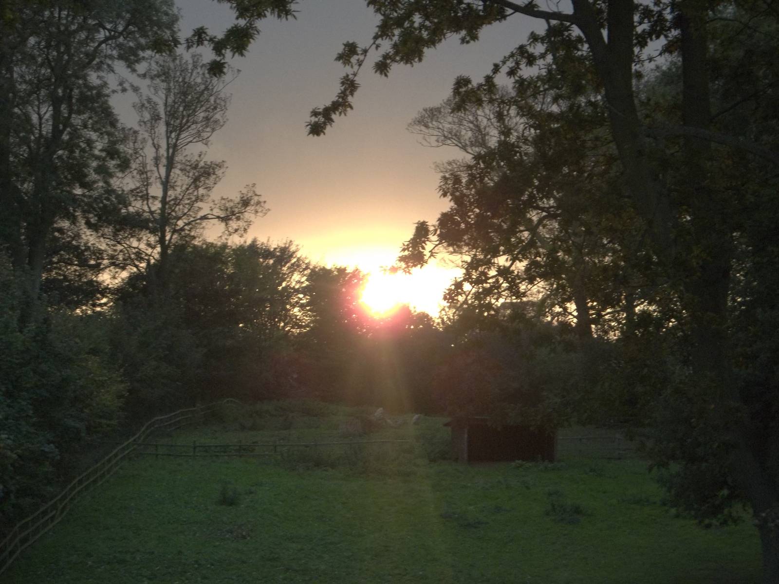 That time of year again, 11th October 2014