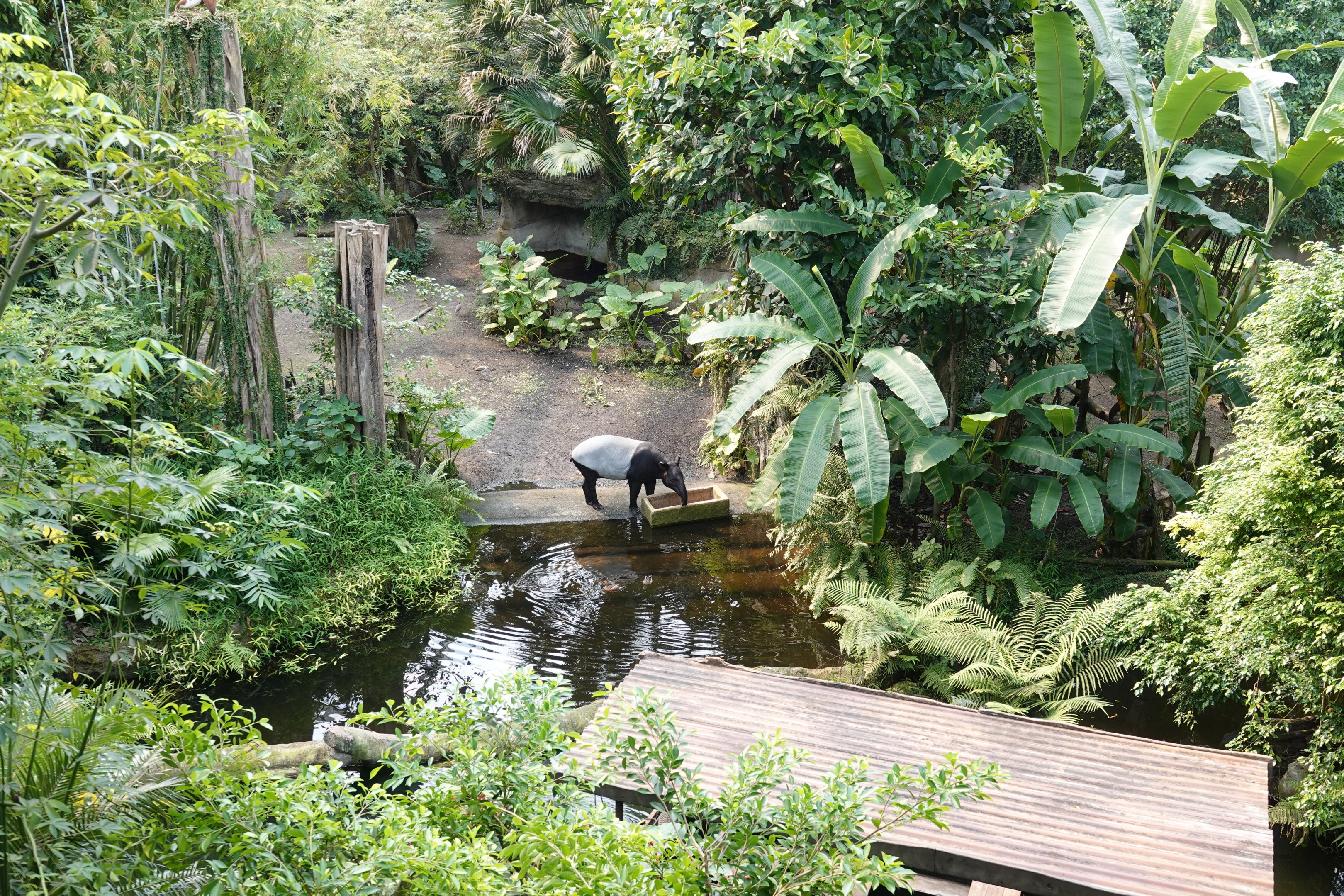 That would have been a nice view from the boat...