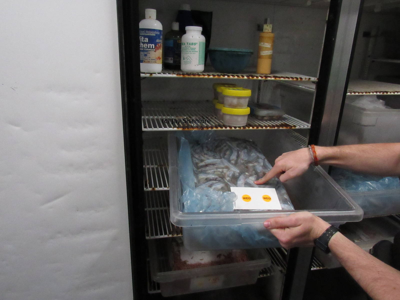 Thawing Refridgerator