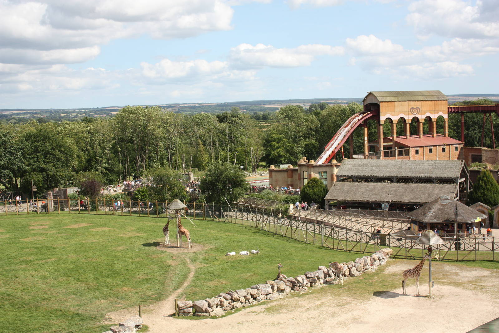 The Addax are there too, 4th August 2014