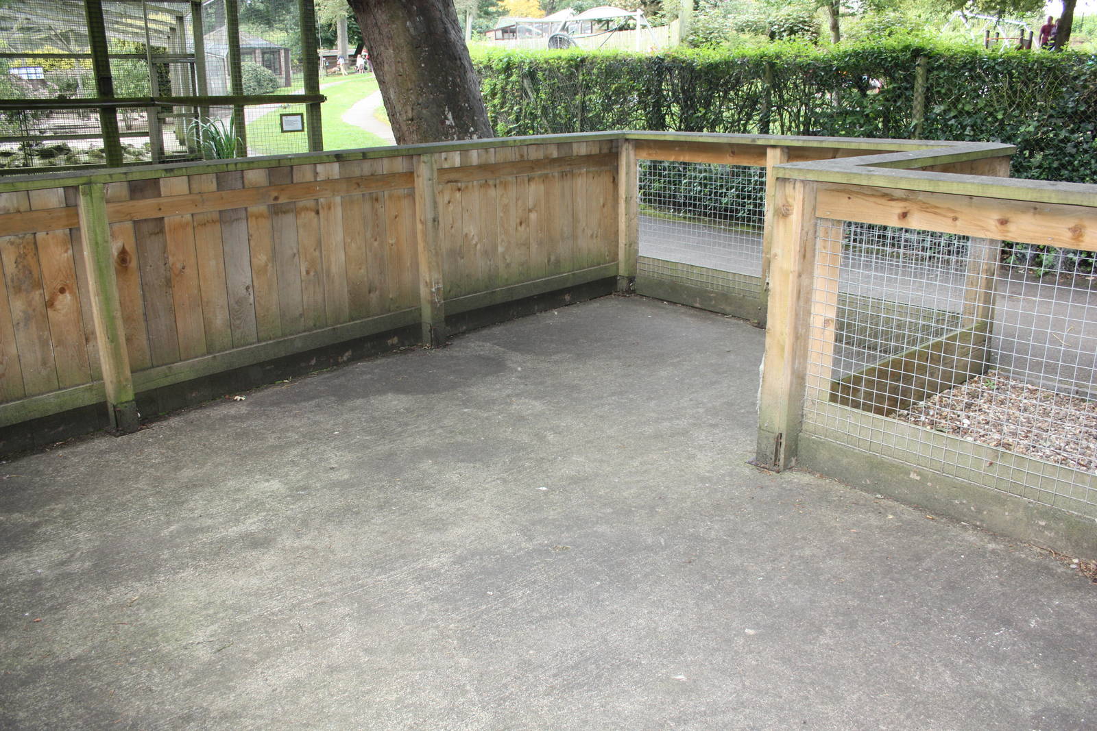 The African Farm cleaned in preparation for kebab making, 23rd August 2014