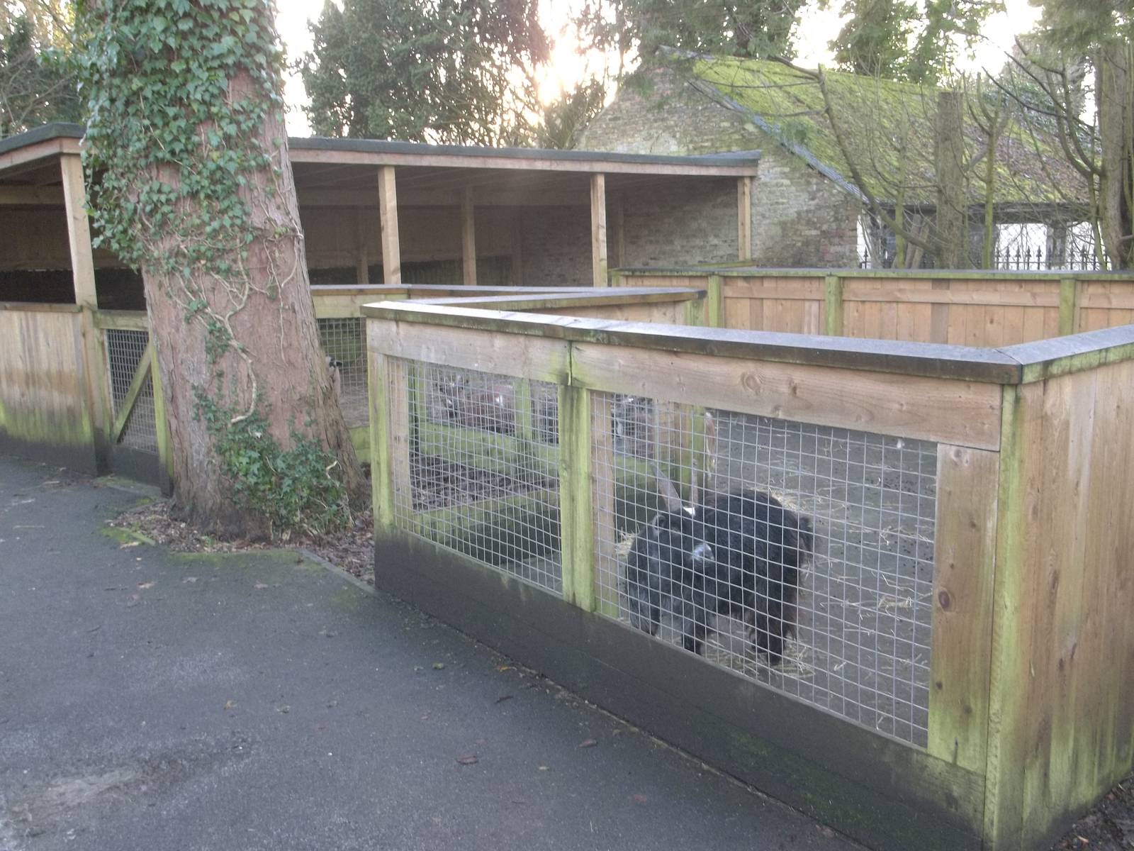 The African Farm temporarily occupied, 29th December 2014