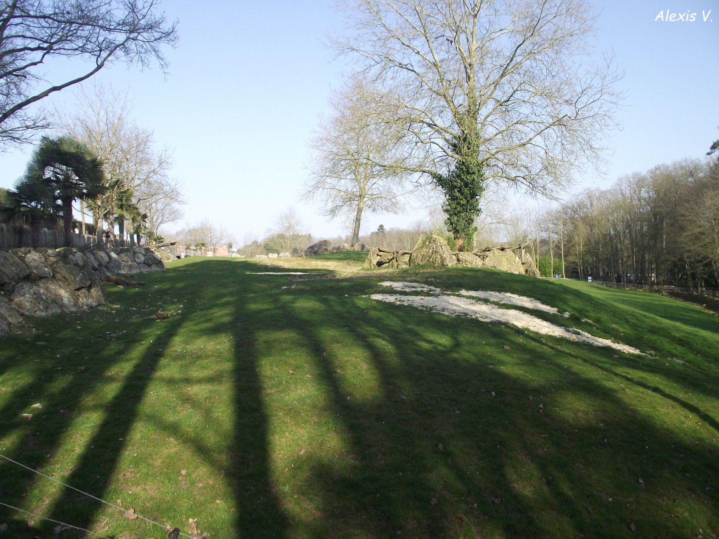 The African Plain (La Plaine africaine) - Zooparc de Beauval - 03/2022
