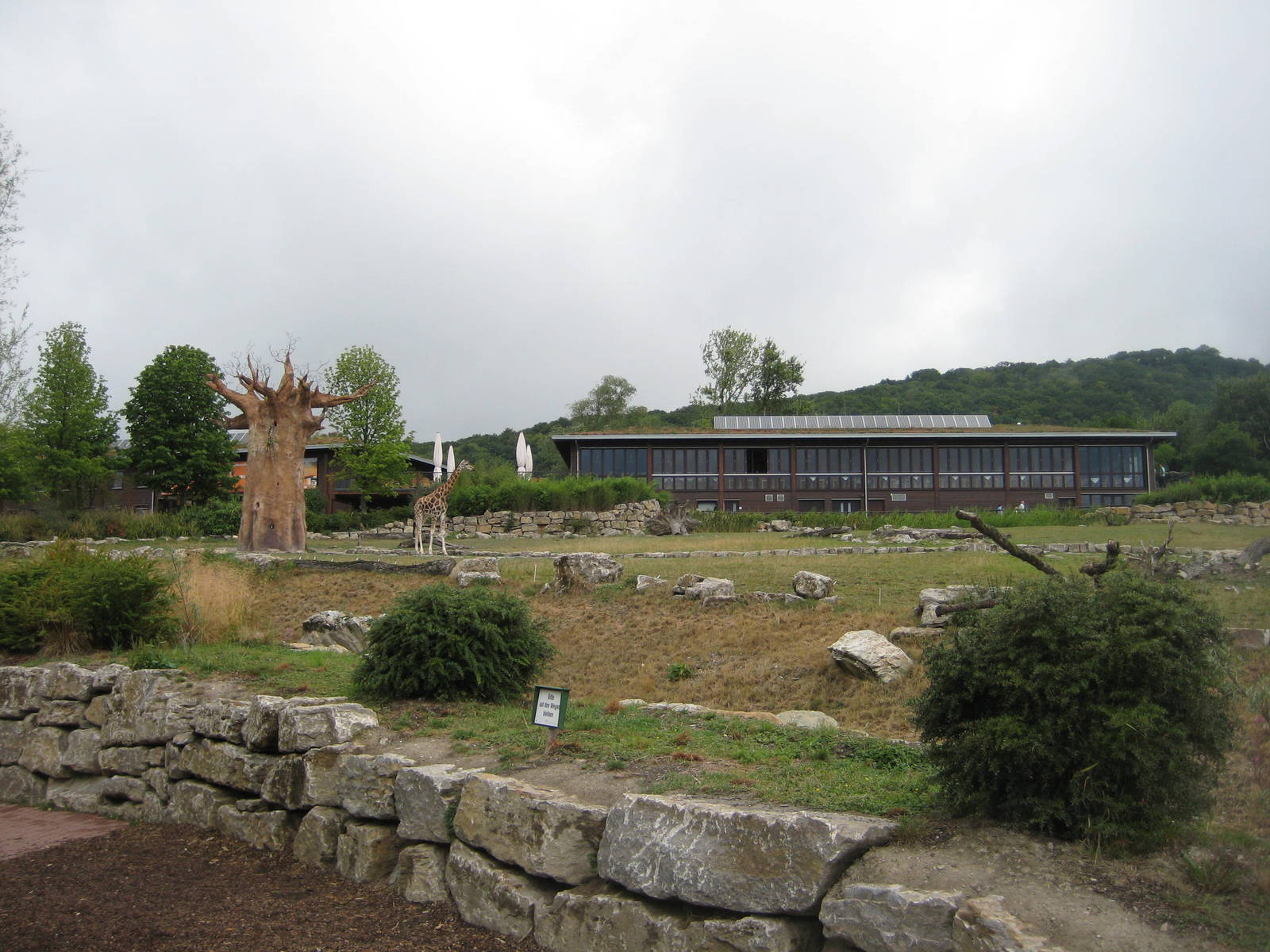 The African Restaurant