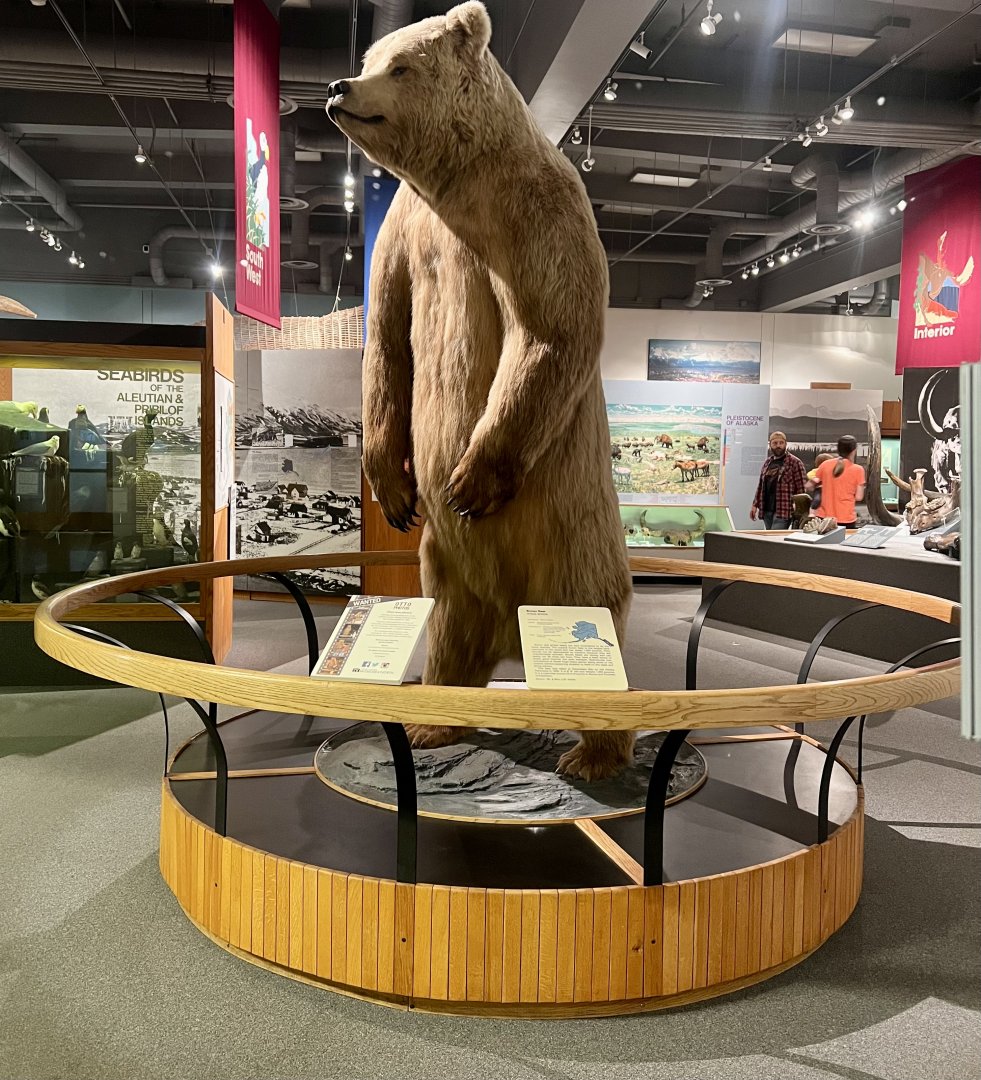 The Alaska Gallery
