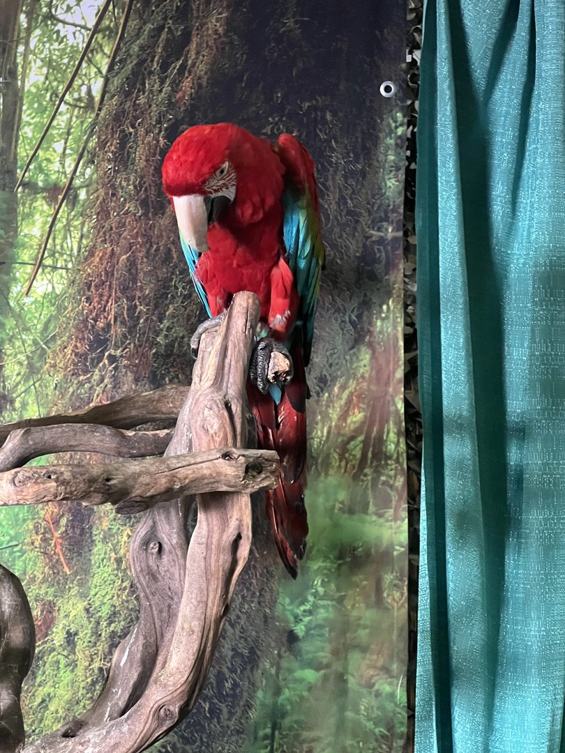 The Alaska State Fair