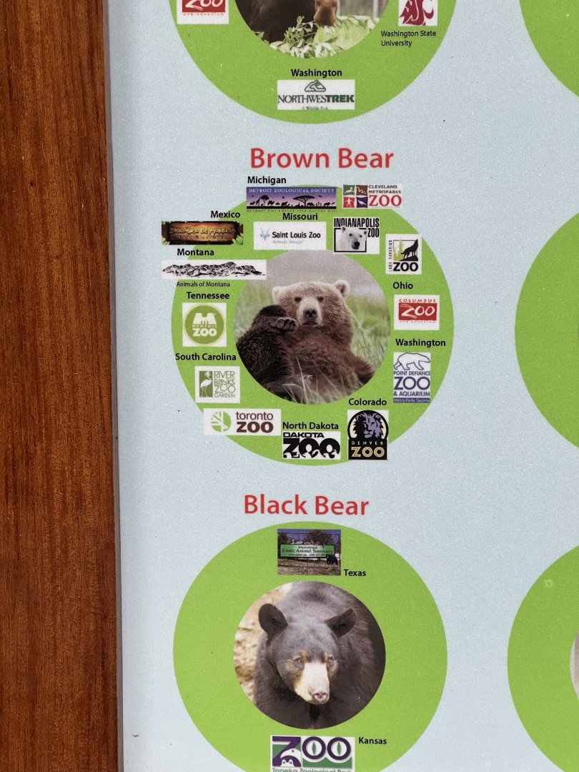 The Alaska Zoo:  Sourcing Brown Bears all over North America