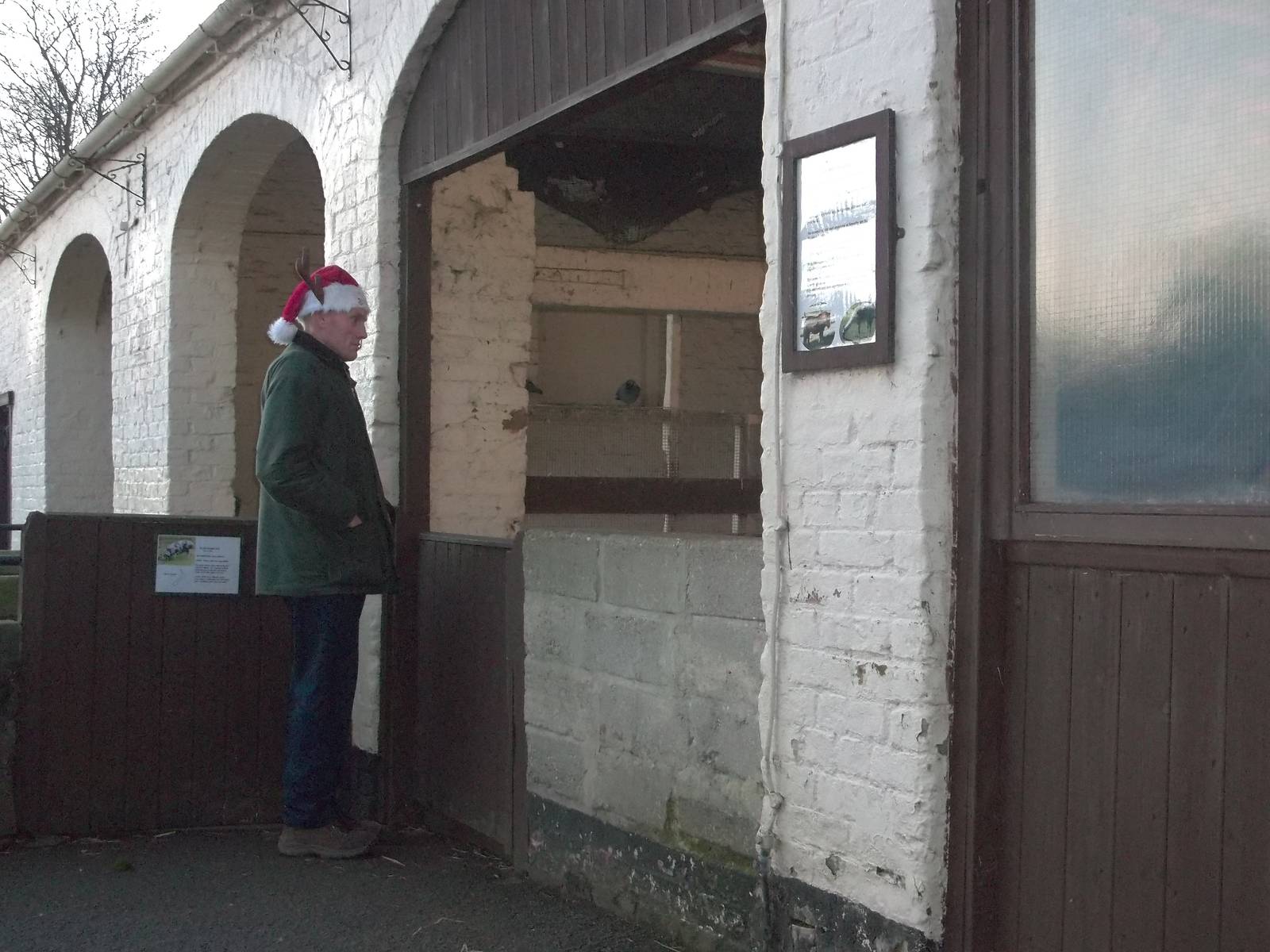 The Alpaca moved! 24th December 2014