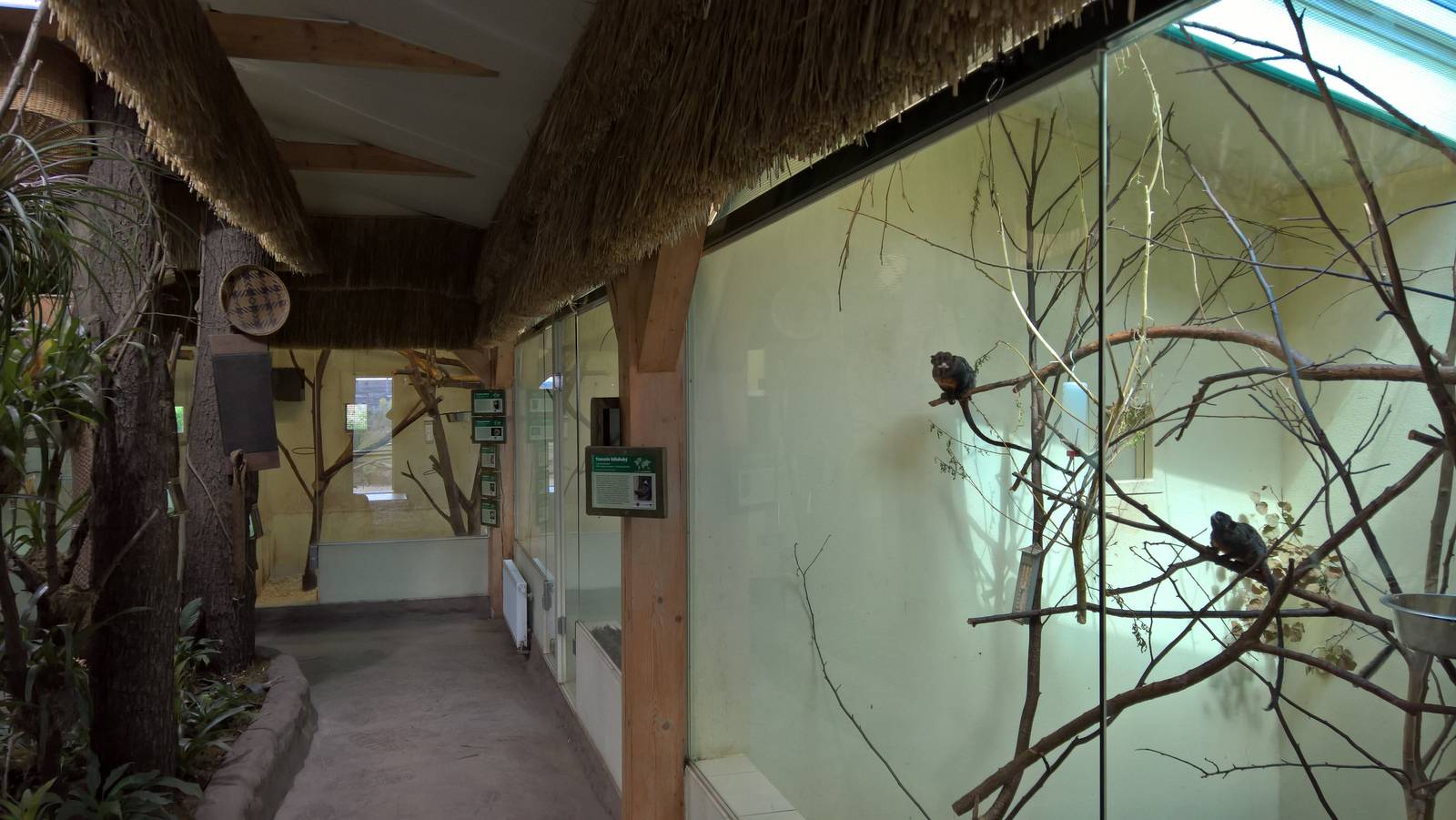 The Amazonia pavilion