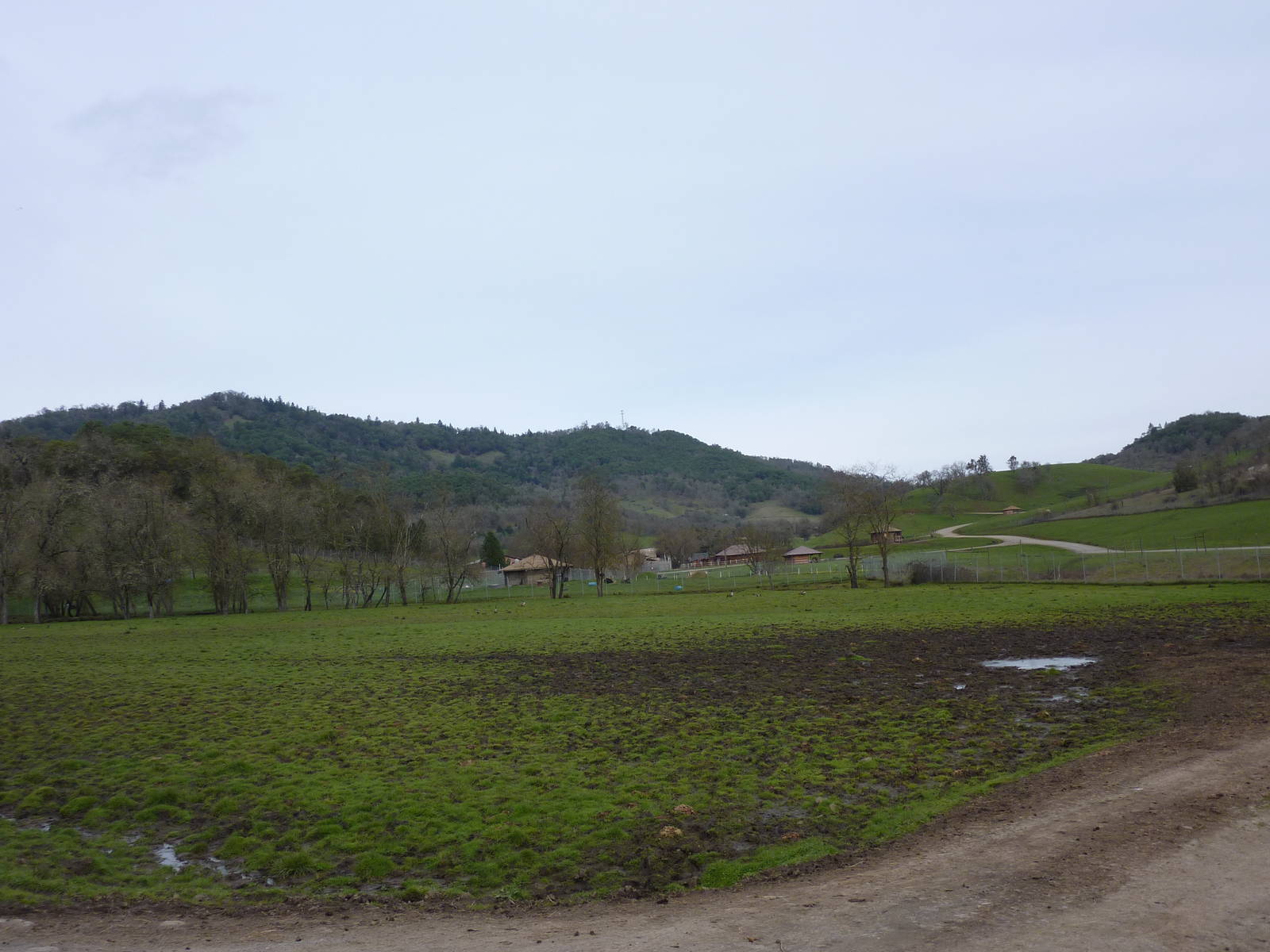 The Americas Area - Bison/Elk Enclosure