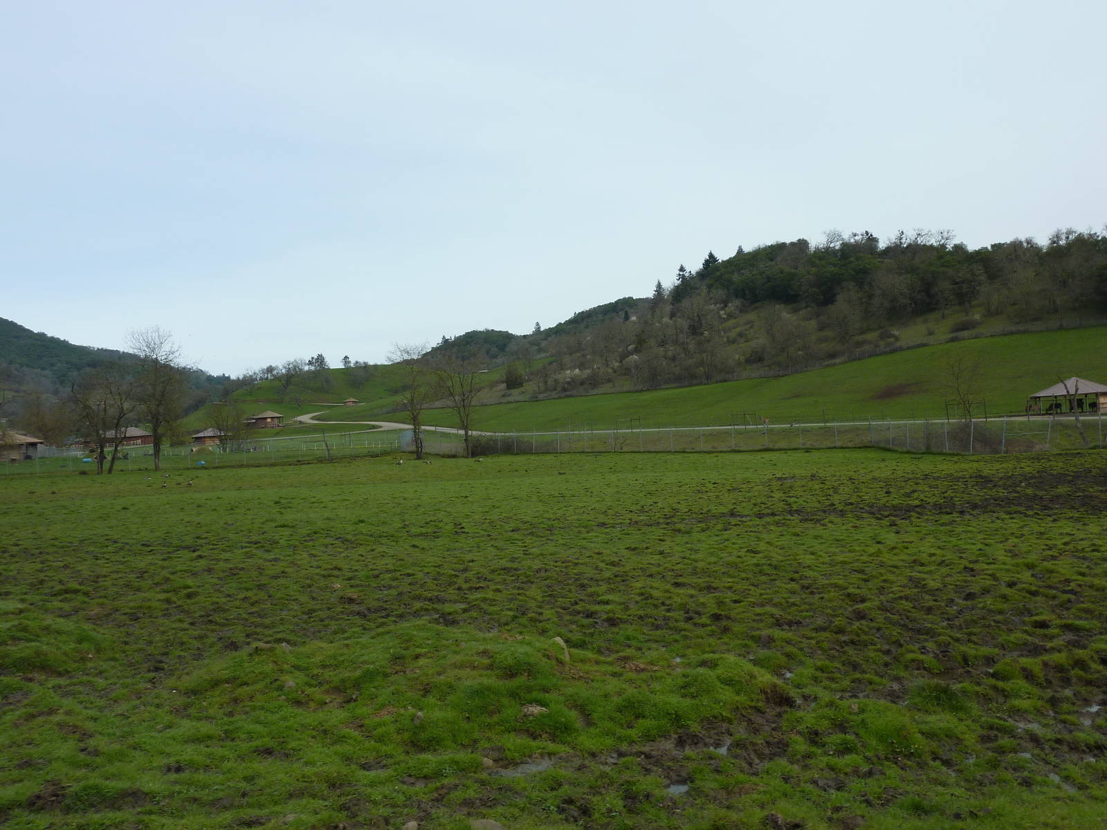 The Americas Area - Bison/Elk Enclosure
