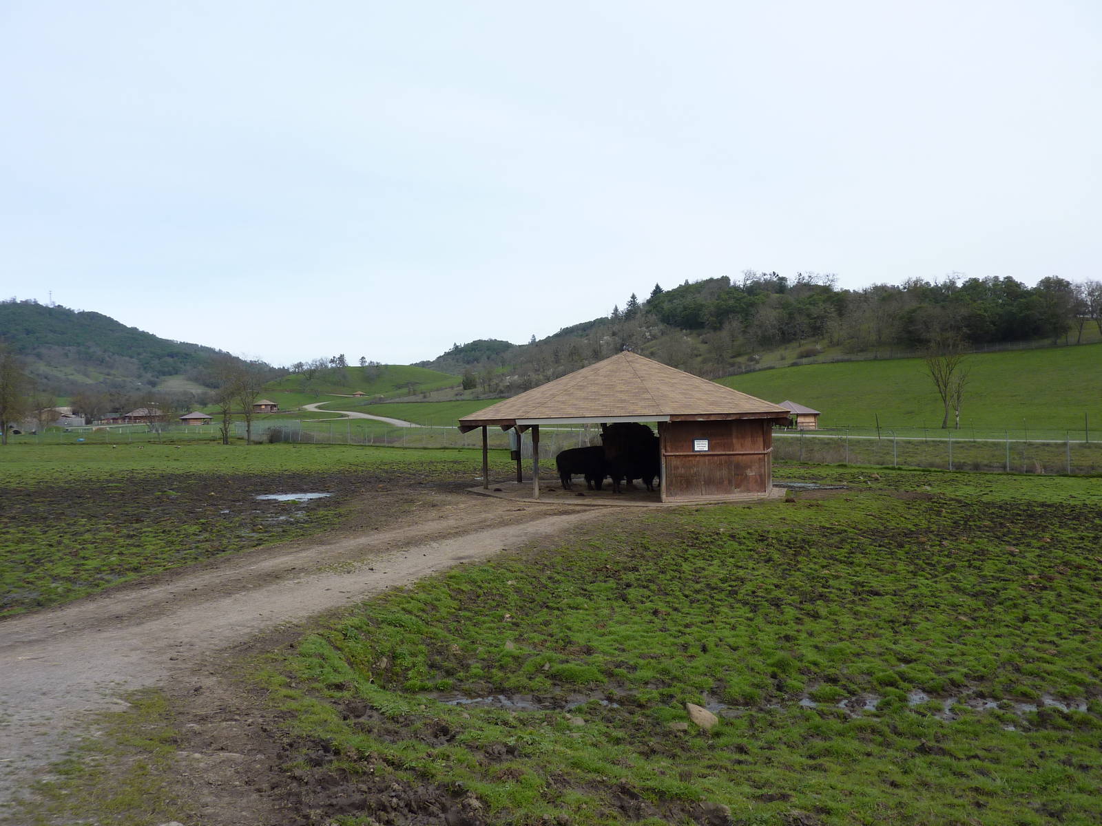 The Americas Area - Bison/Elk Feeding Shelter