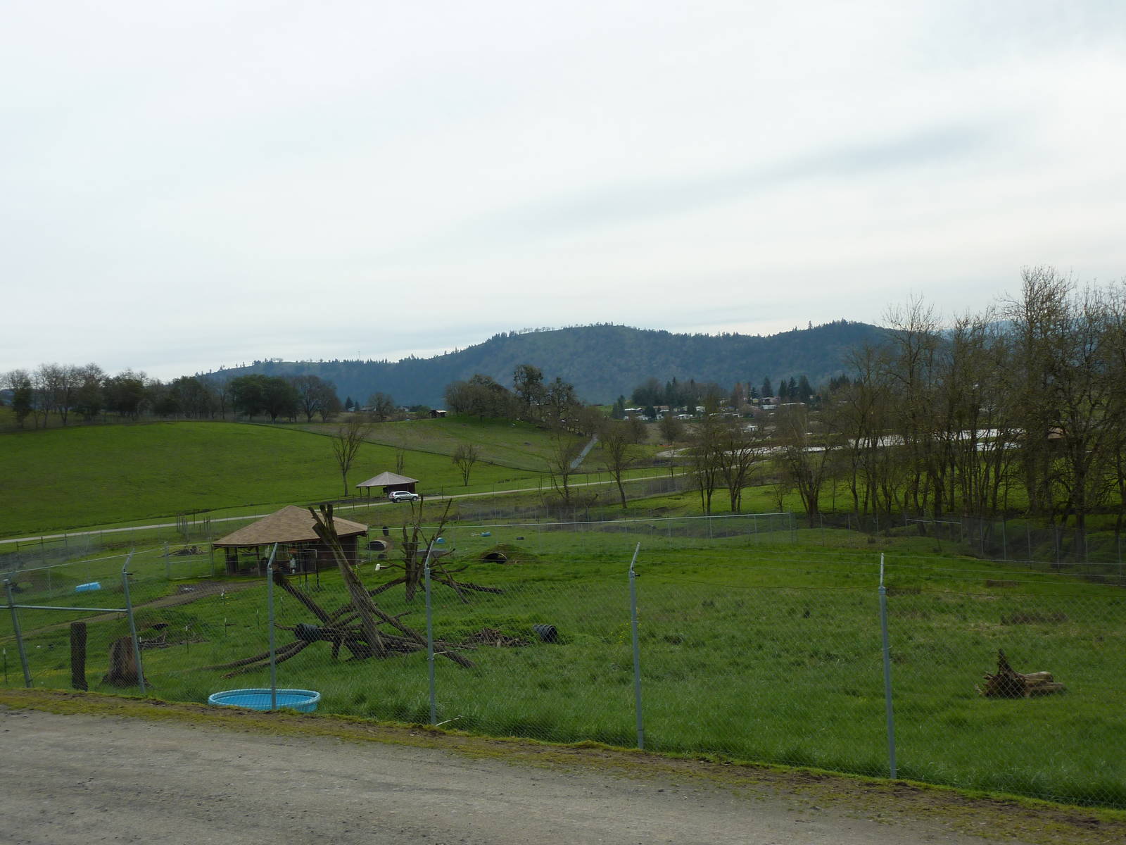 The Americas Area - Black Bear Enclosures