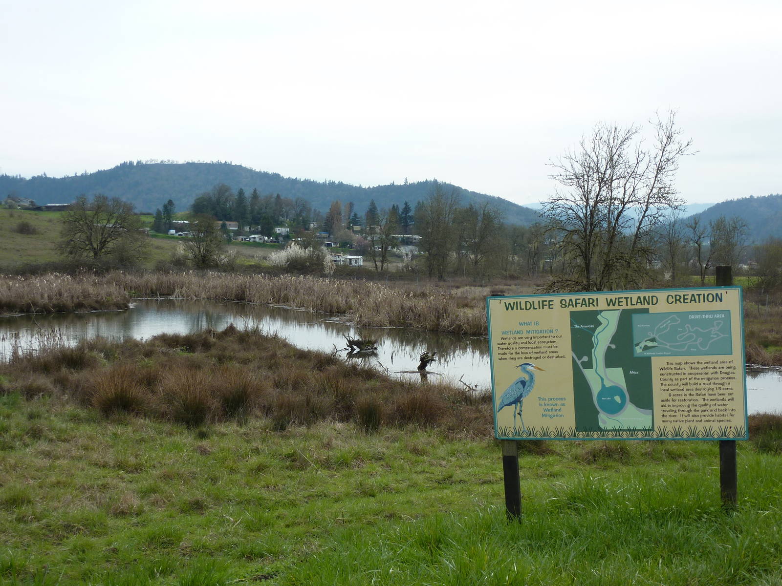 The Americas Area - Wetland