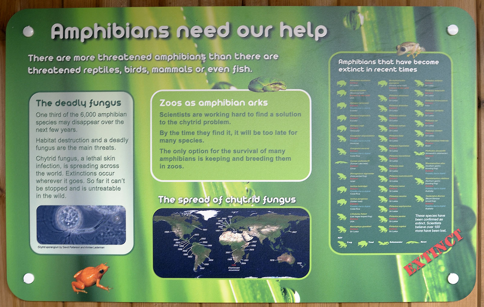 The Amphipod: endangered amphibians sign