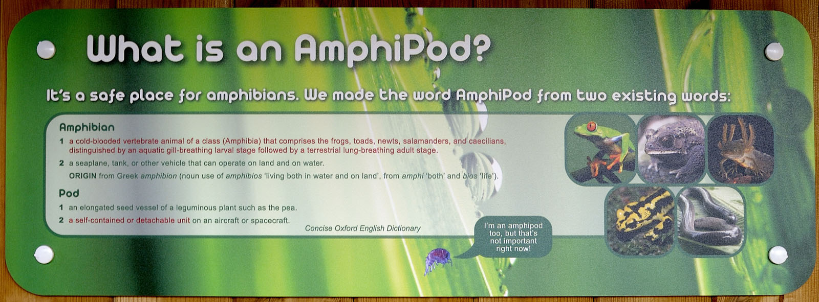The Amphipod: explanatory sign