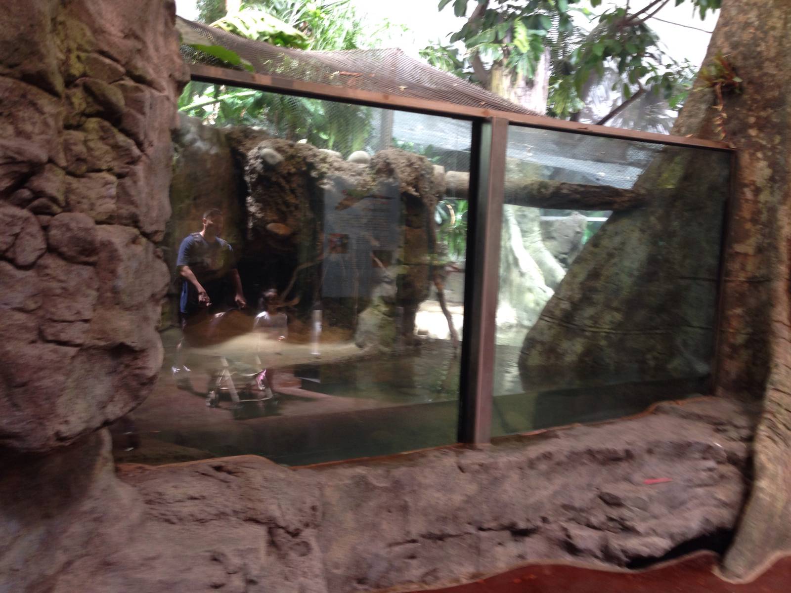 The anaconda exhibit is mostly unchanged from before