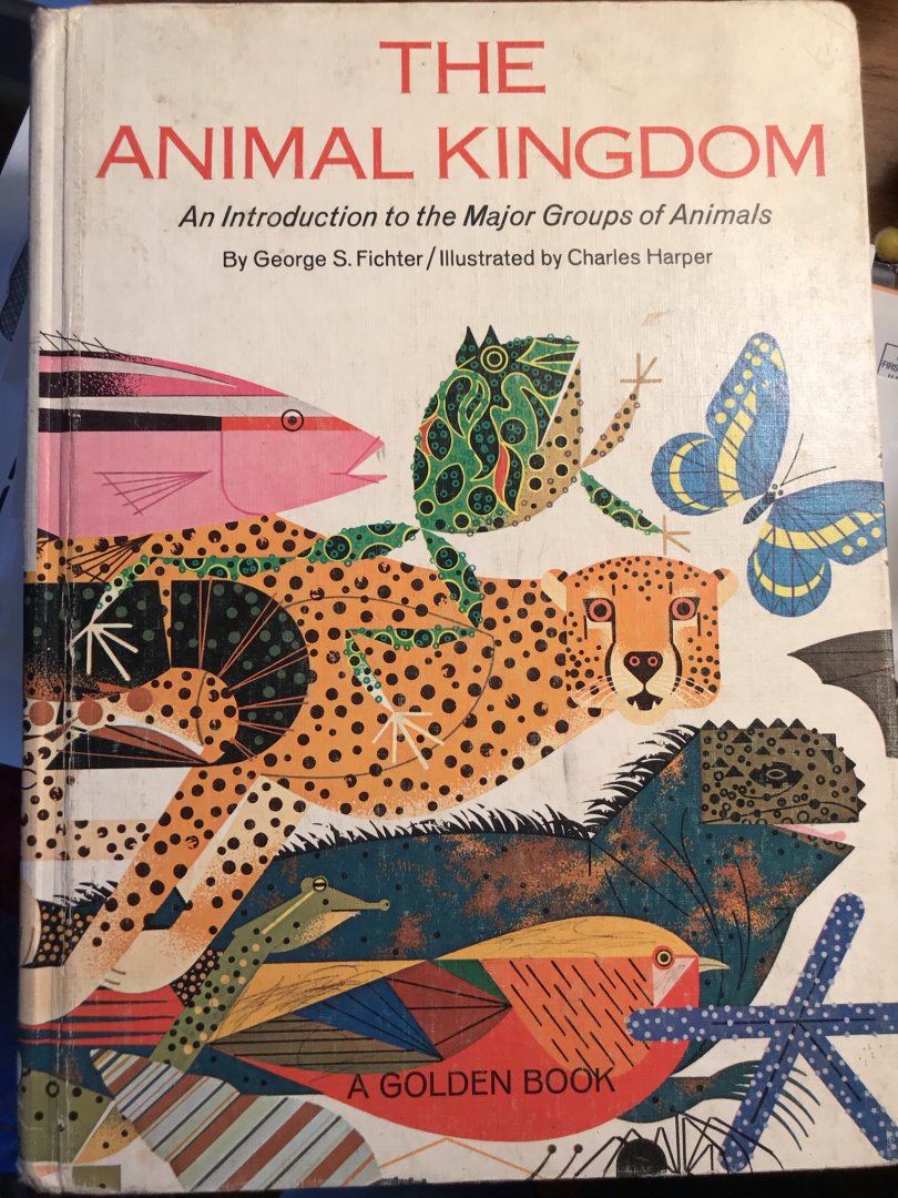 The Animal Kingdom: An Introduction to the Major Groups of Animals