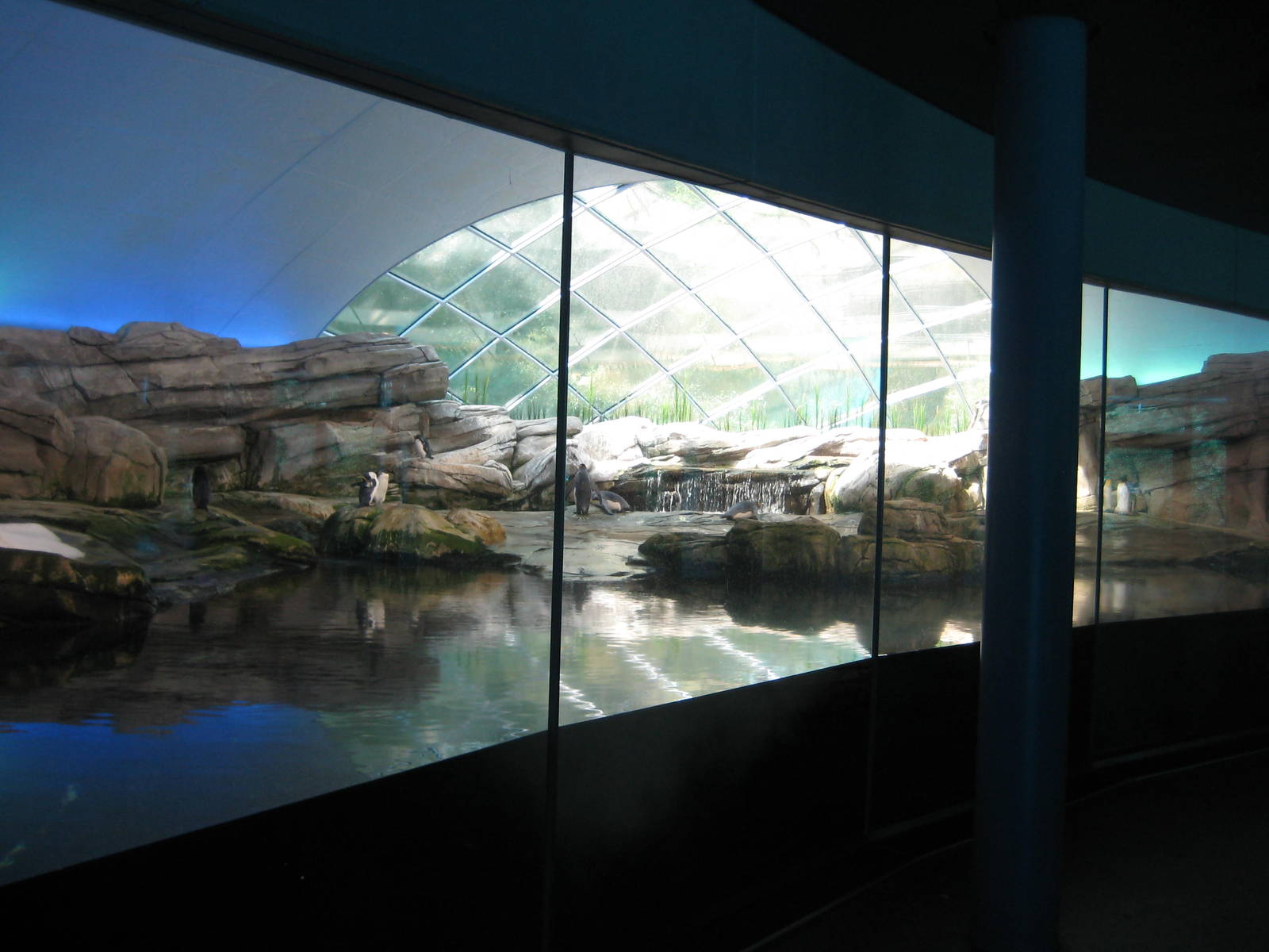 The Antarctic Penguin Exhibit