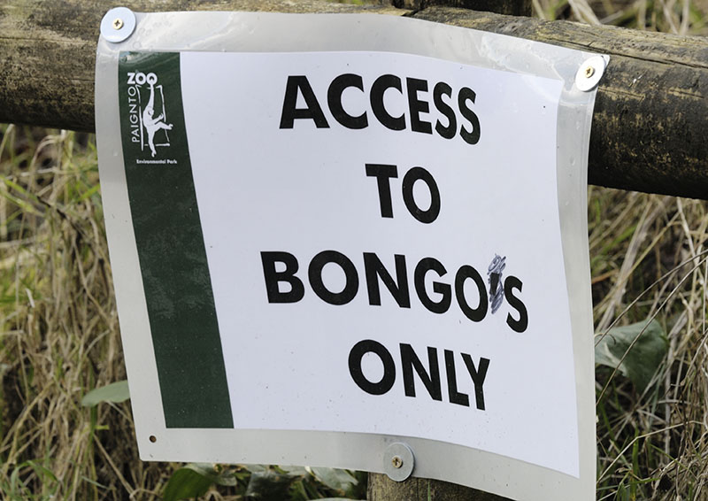 The Apostrophe Protection Society strikes back