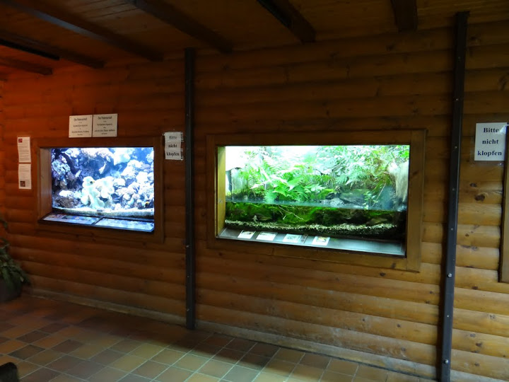 The aquarium and the terrarium