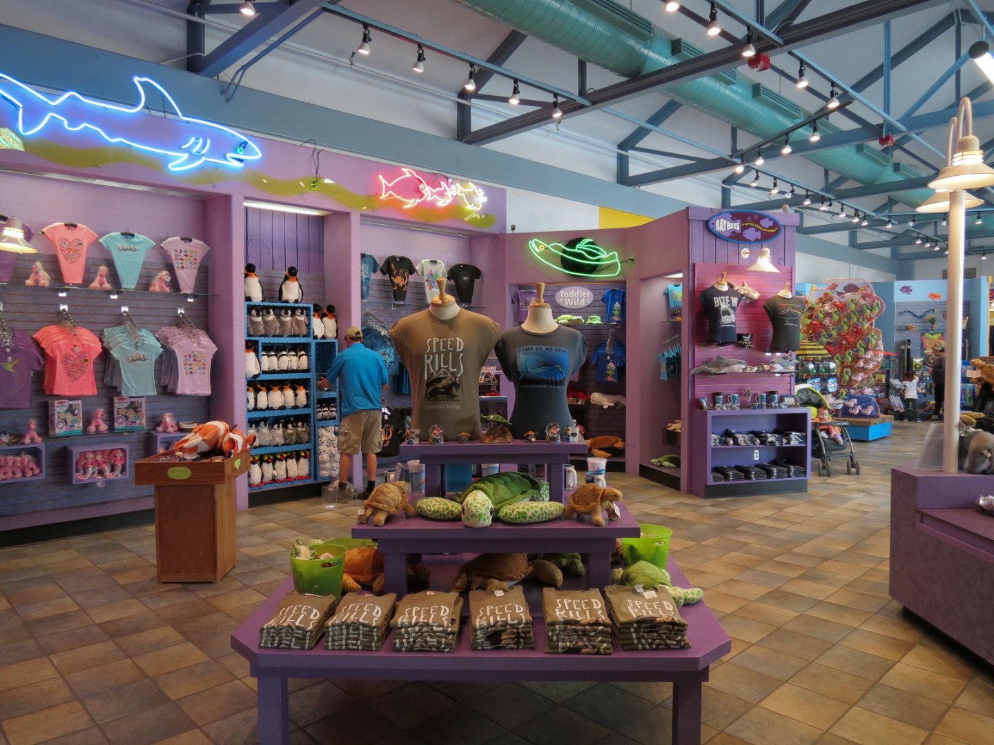 The Aquarium Shop - Interior