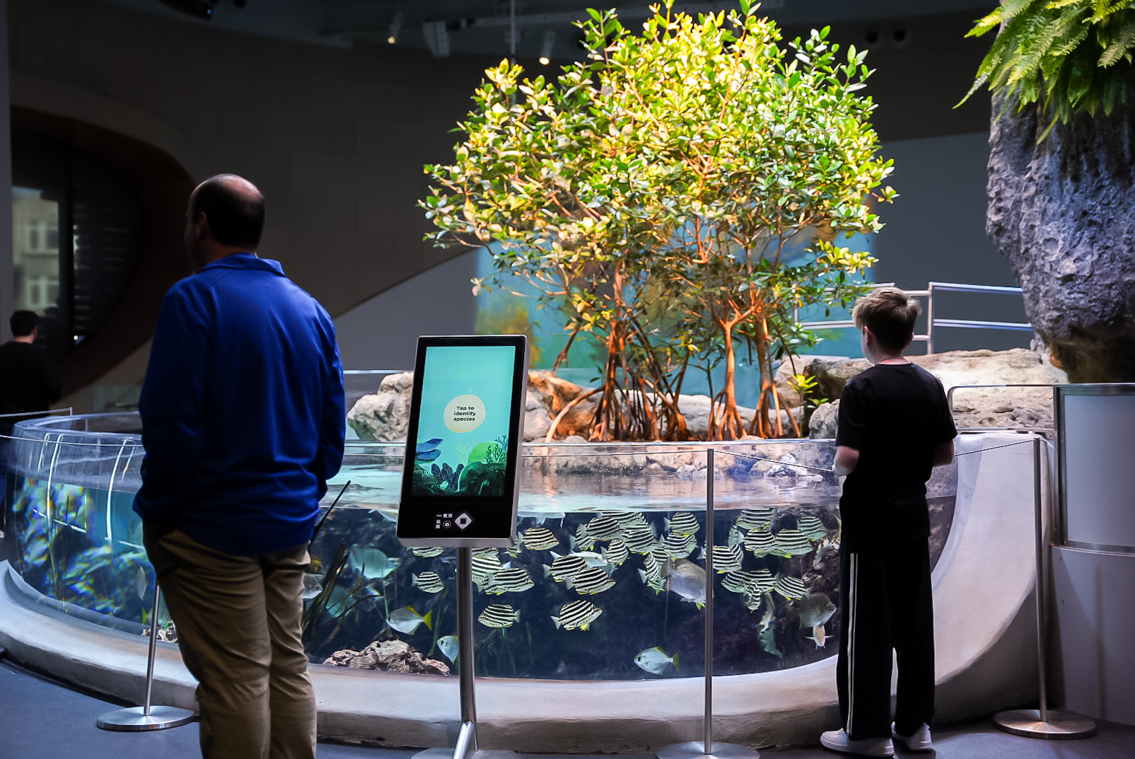 "The Archipelago" Mangrove Lagoon