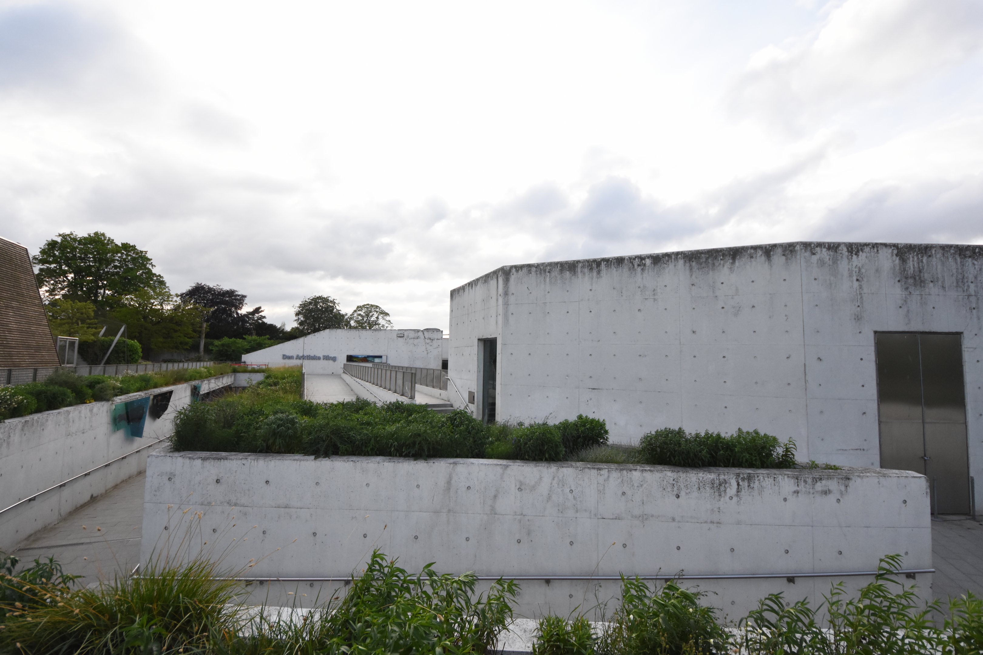 The Arctic ring - A lot of walking