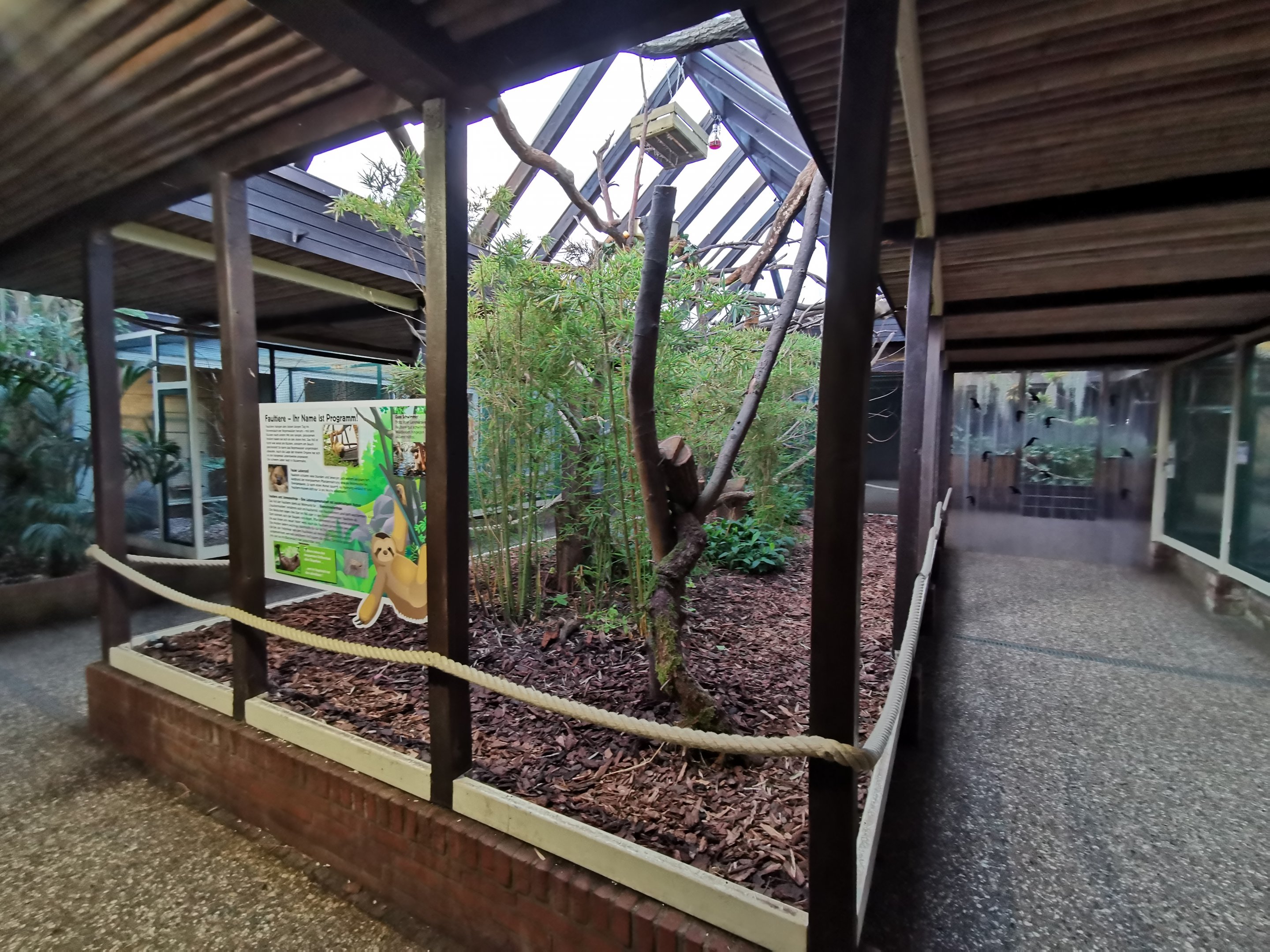 The area for the Linnaeus's two-toed sloth