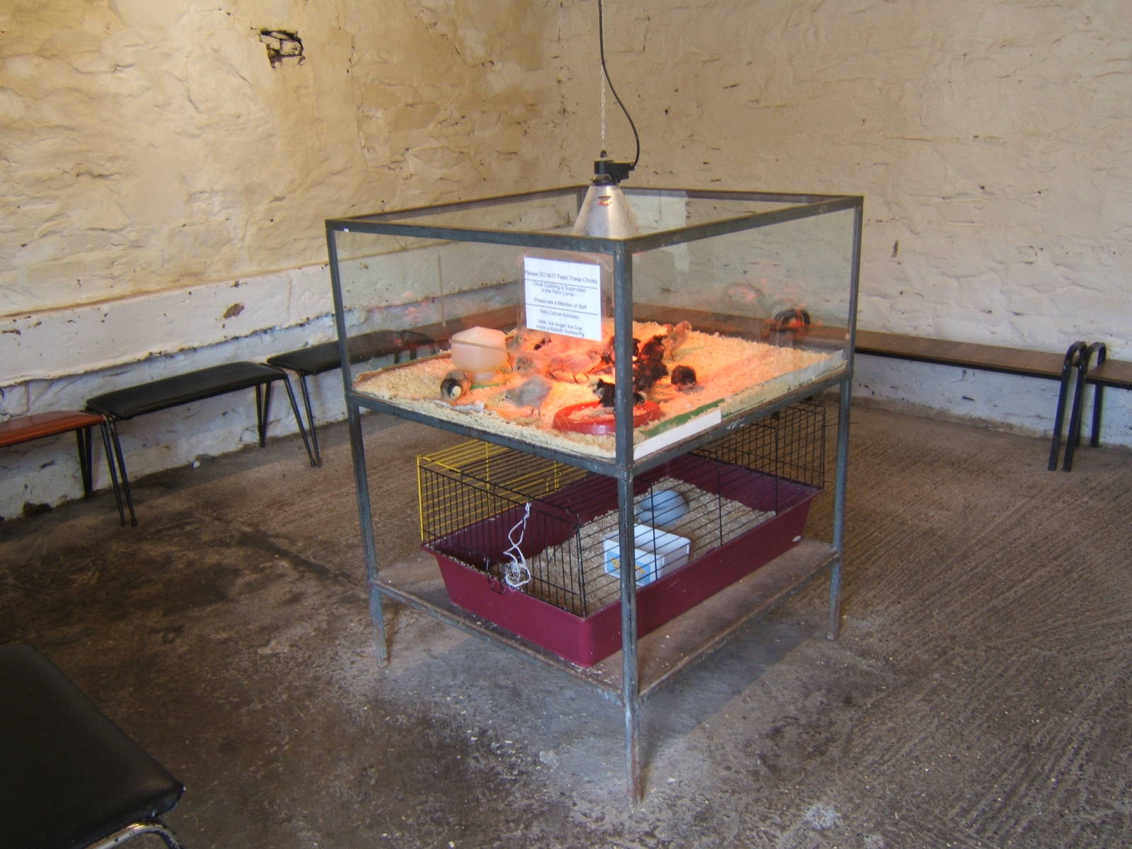 The Ark Open Farm NI