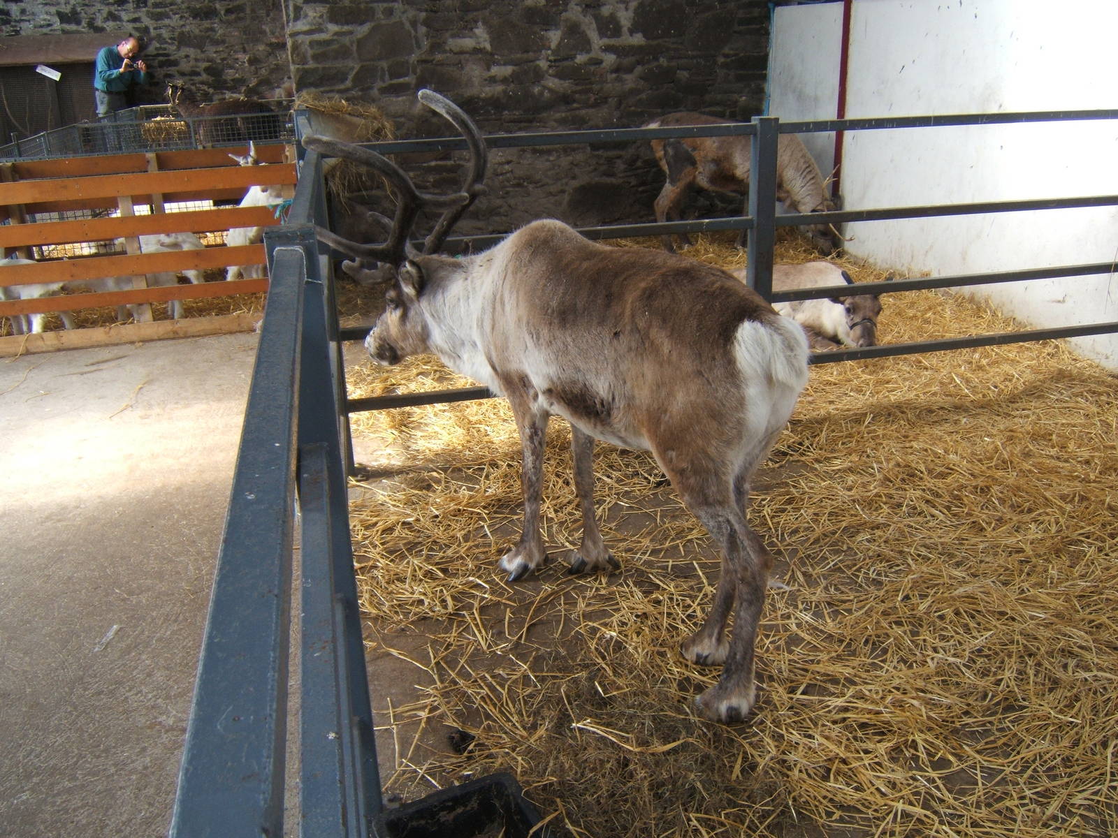 The Ark Open Farm NI
