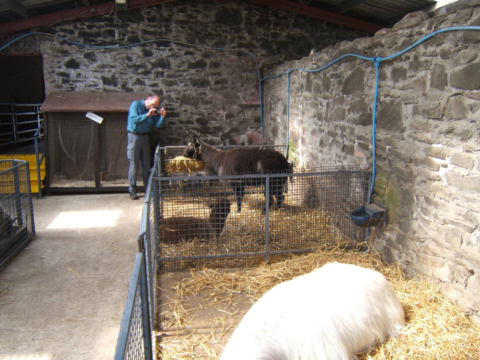 The Ark Open Farm NI