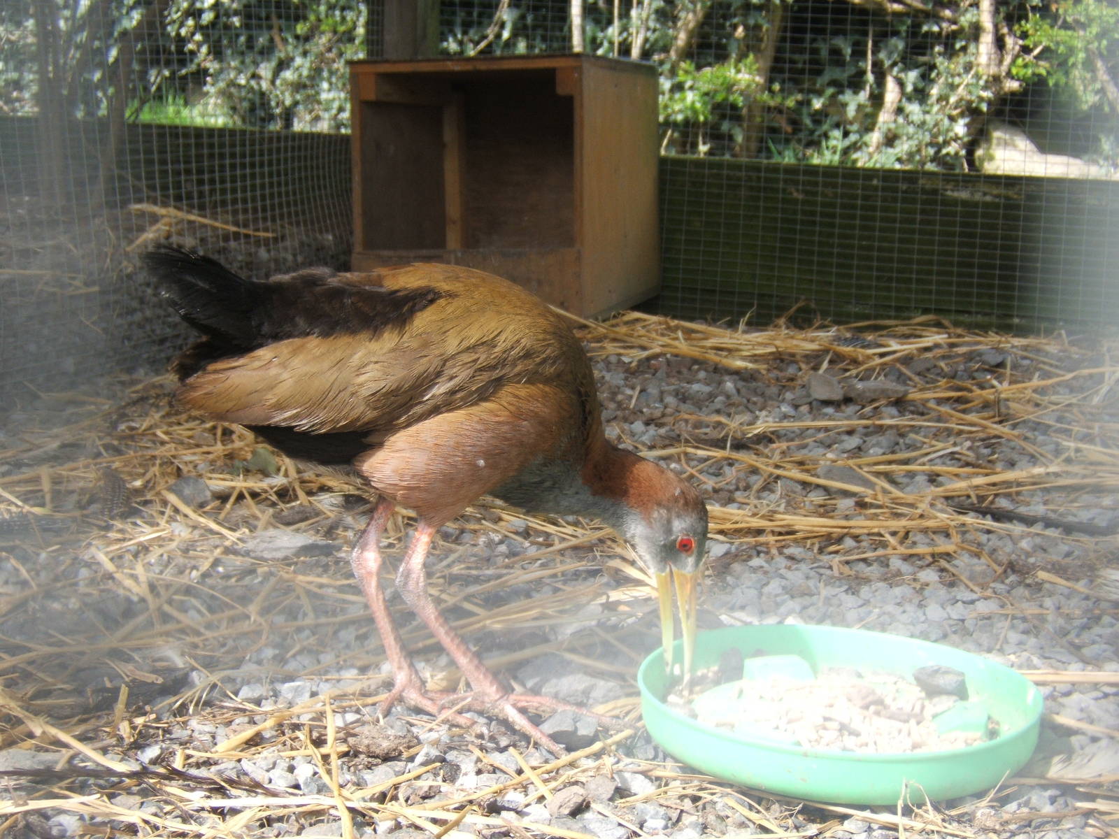 The Ark Open Farm NI