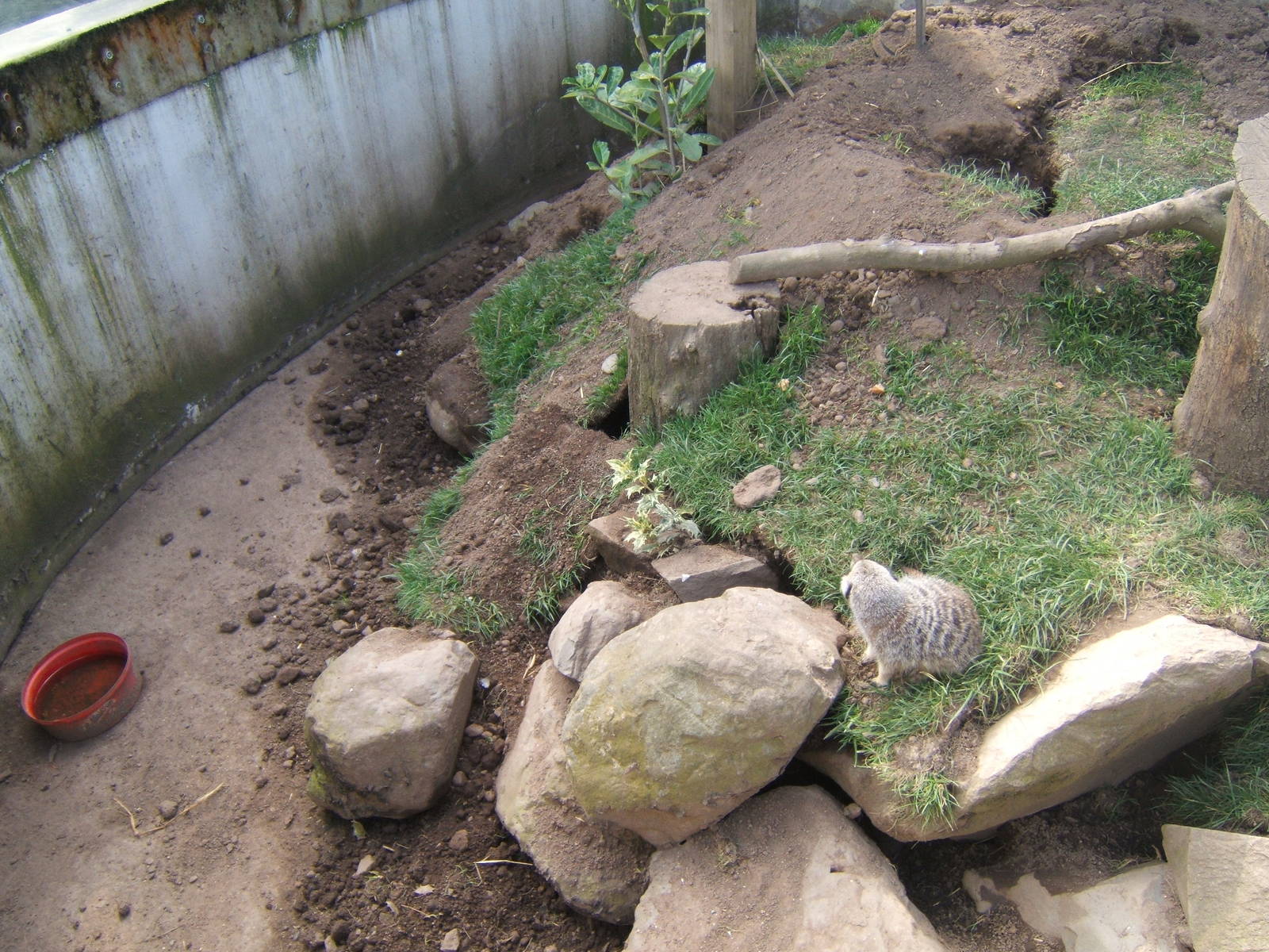 The Ark Open Farm NI