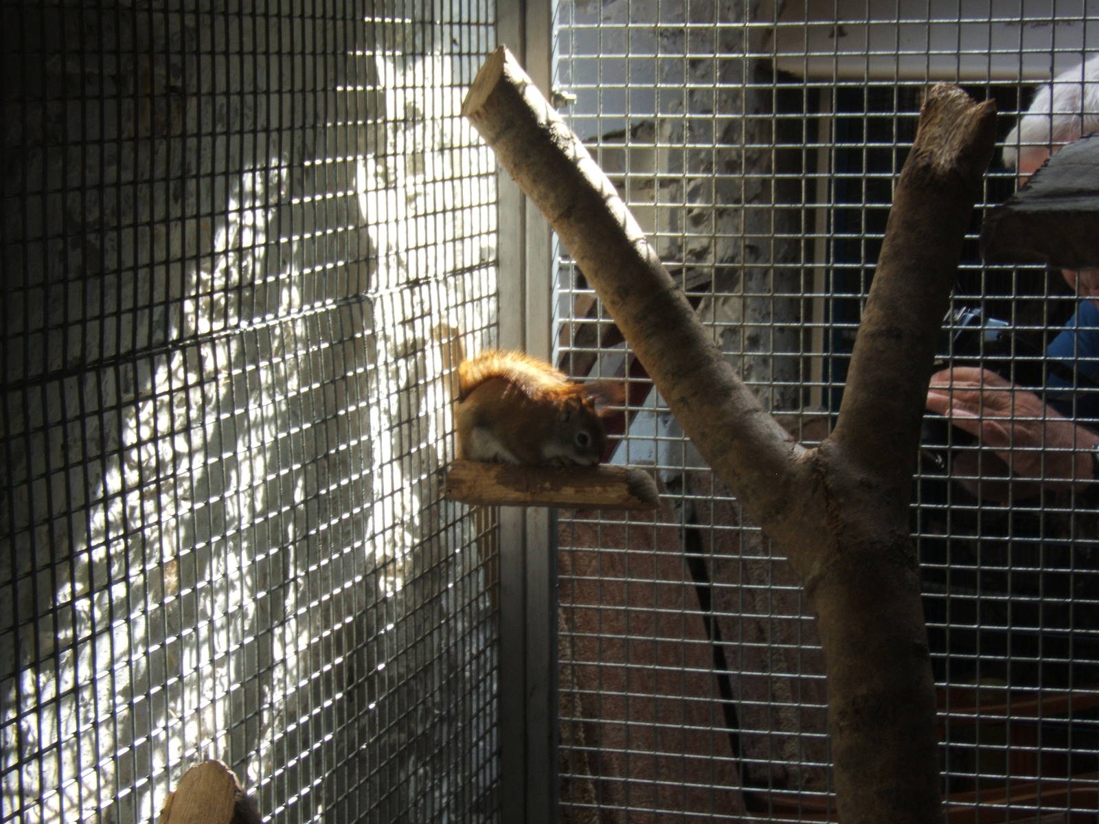 The Ark Open Farm NI