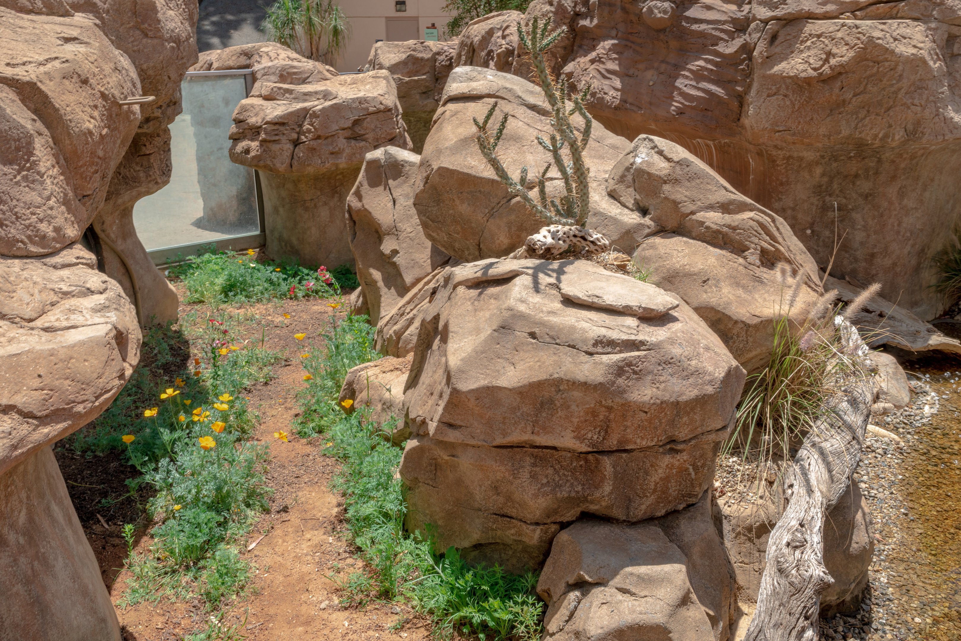 The Arroyo Lagarto interior shot