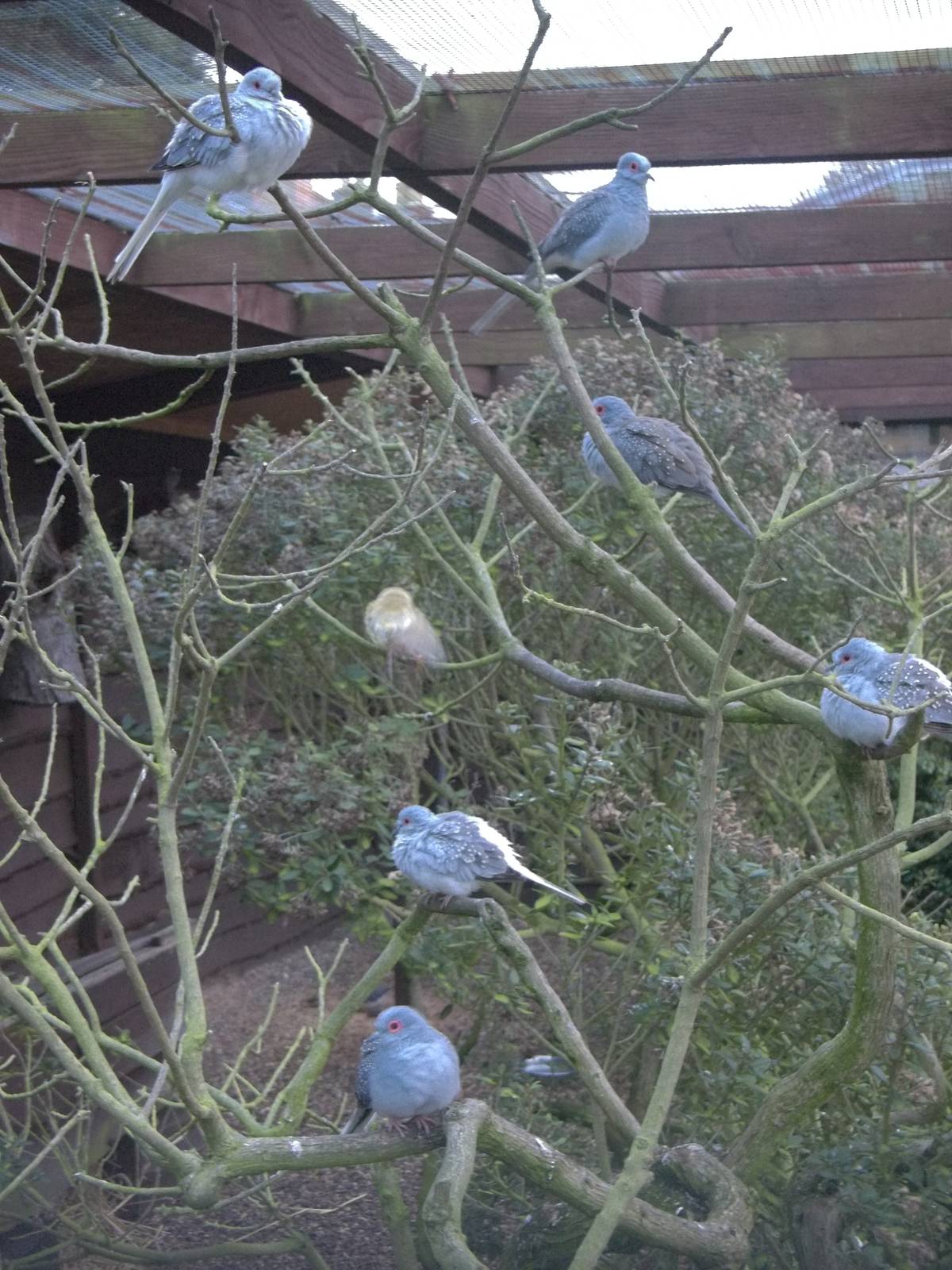 The Australian bush, 10th November 2014