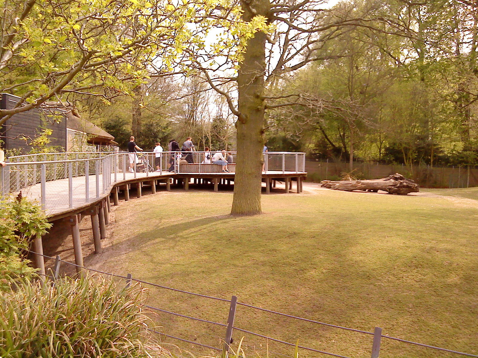 The Australian enclosure, Copenhagen Zoo, april 2009