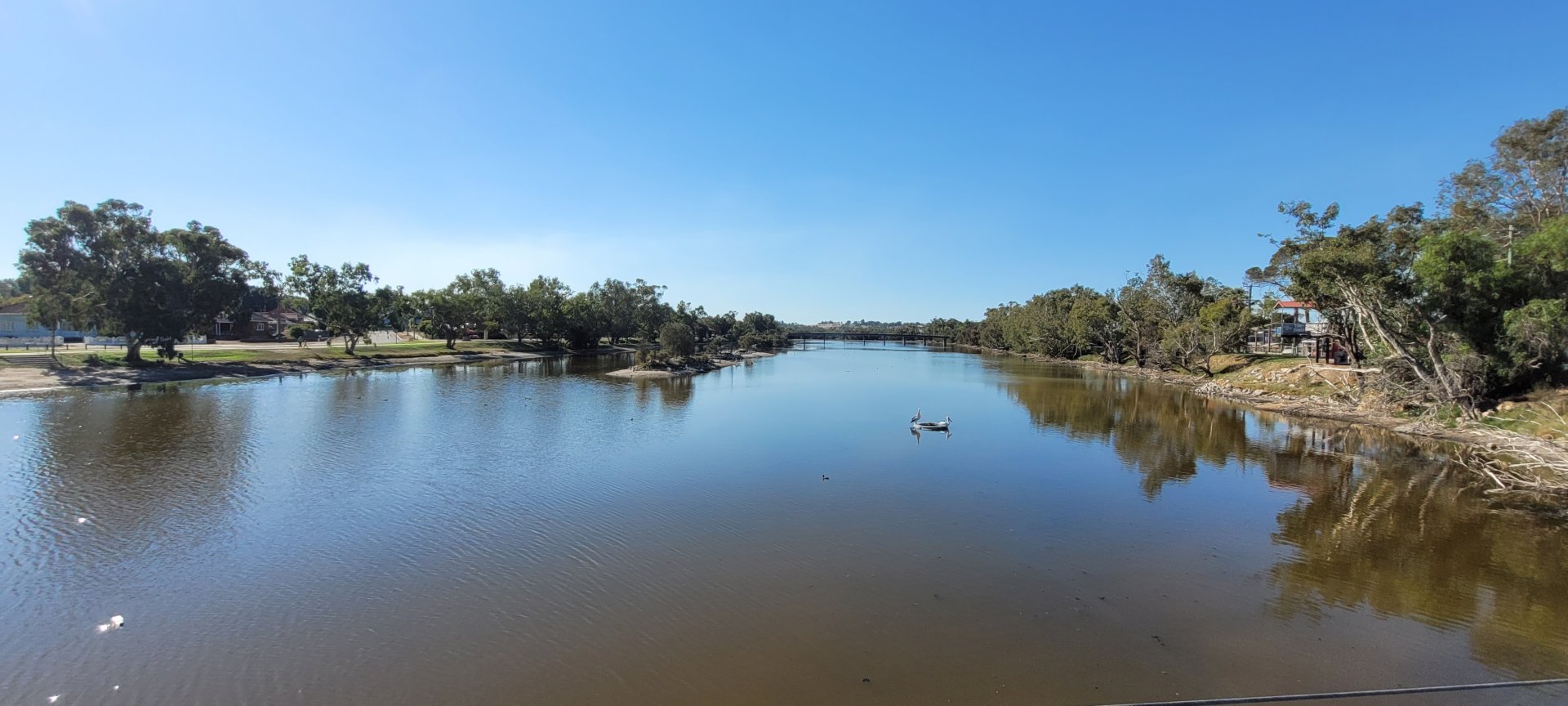 The Avon River @ Northam WA