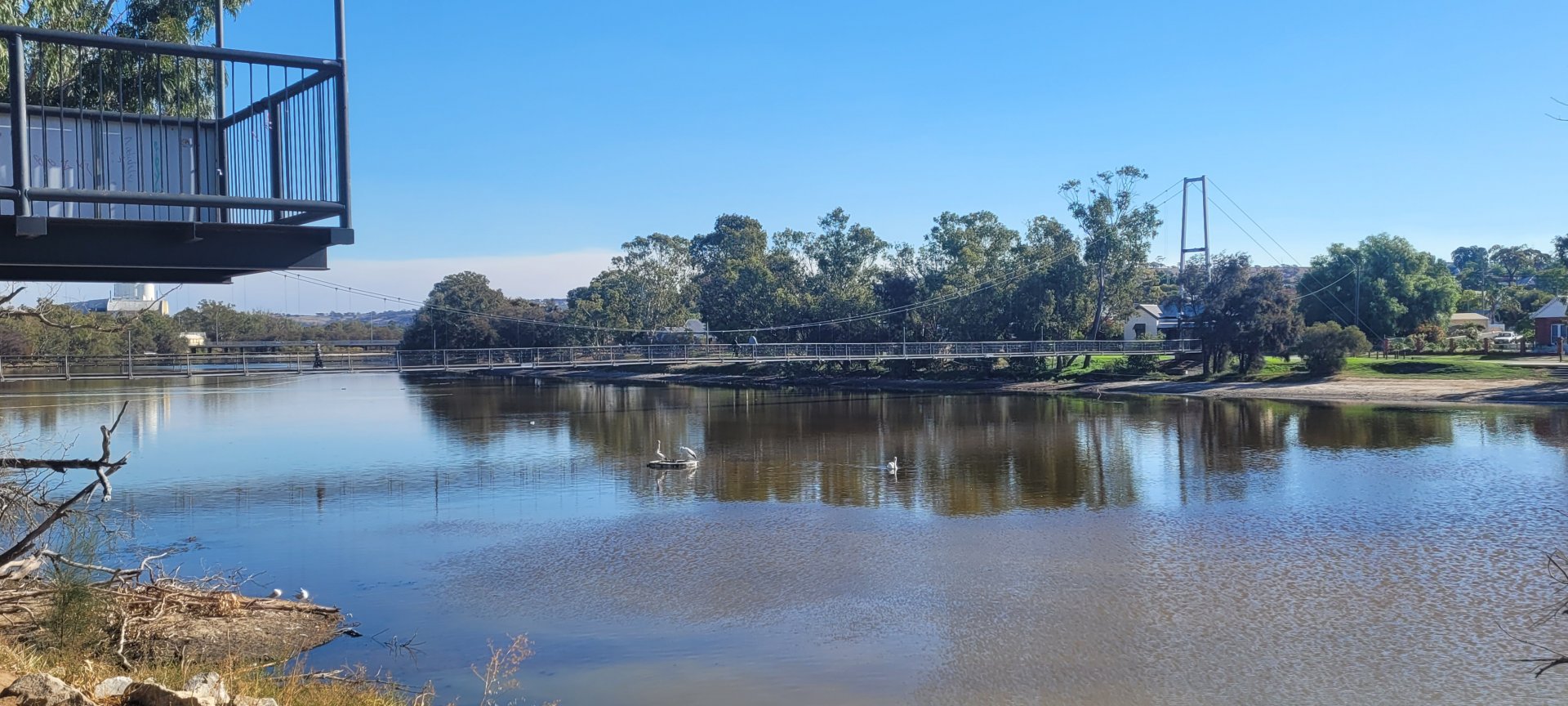 The Avon River @ Northam WA