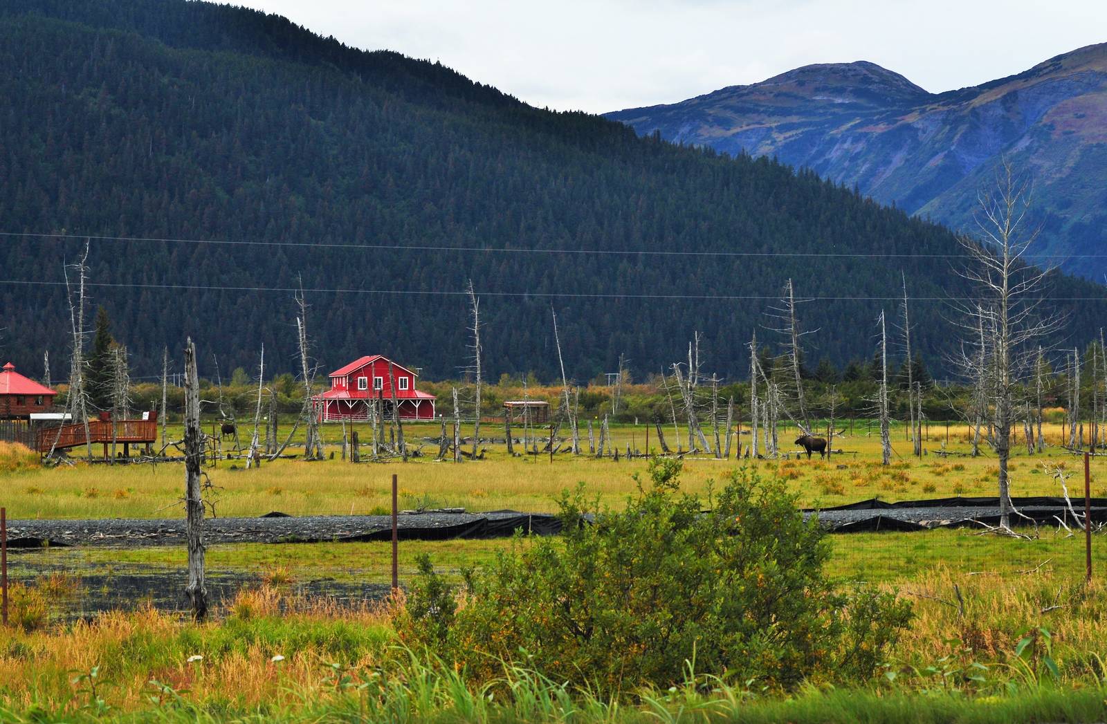 The AWCC from the Seward Highway