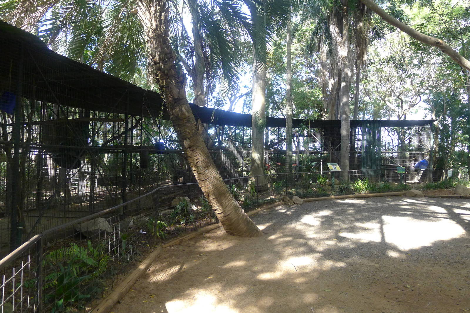 The Baboon enclosure