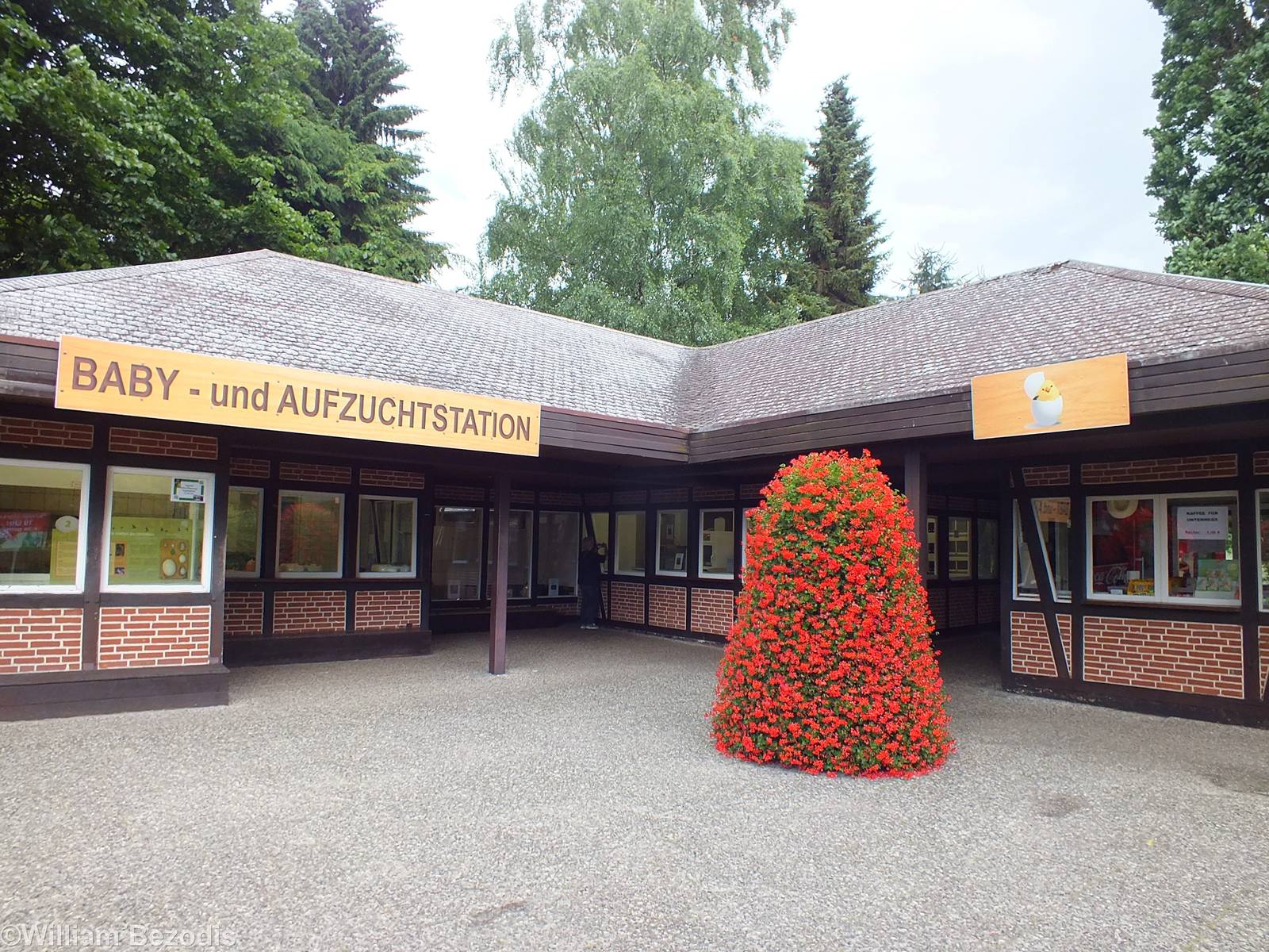 The Baby Bird Building