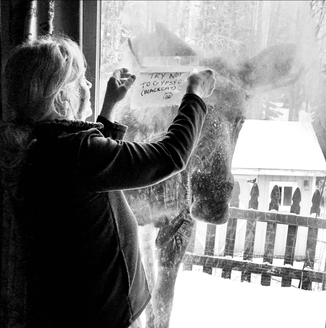 The Back Patio - Alaska