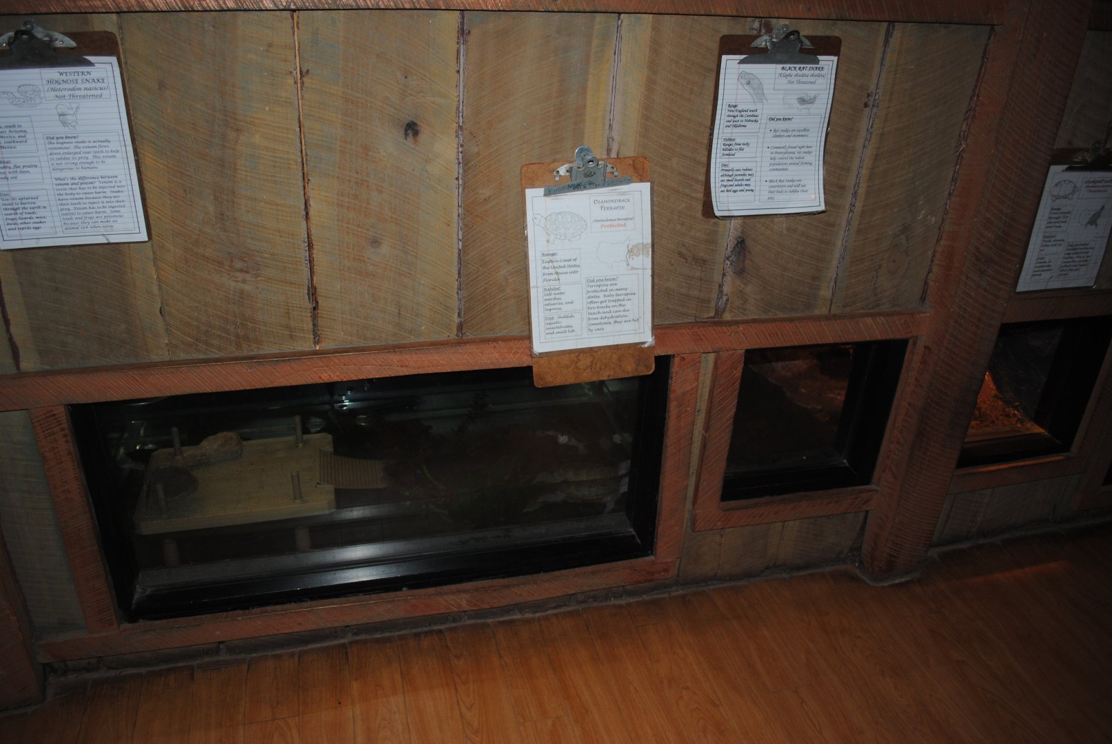 The Bayou Pavilion - Terrariums for Diamondback Terrapin and Stinkpot Turtle (left to right)