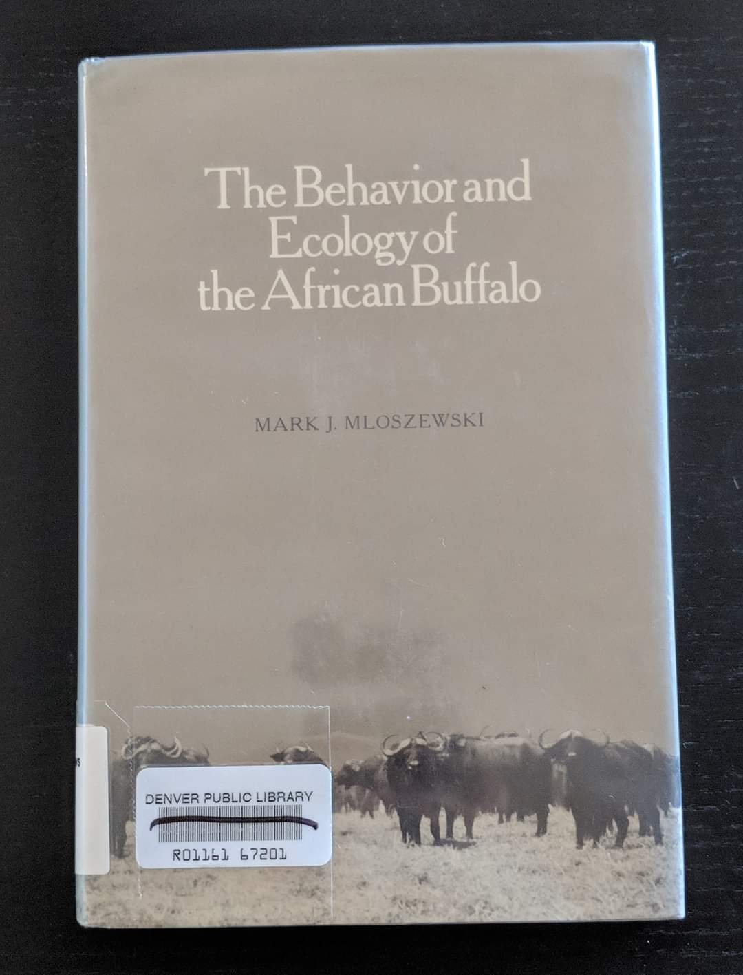 The Behavior and Ecology of the African Buffalo