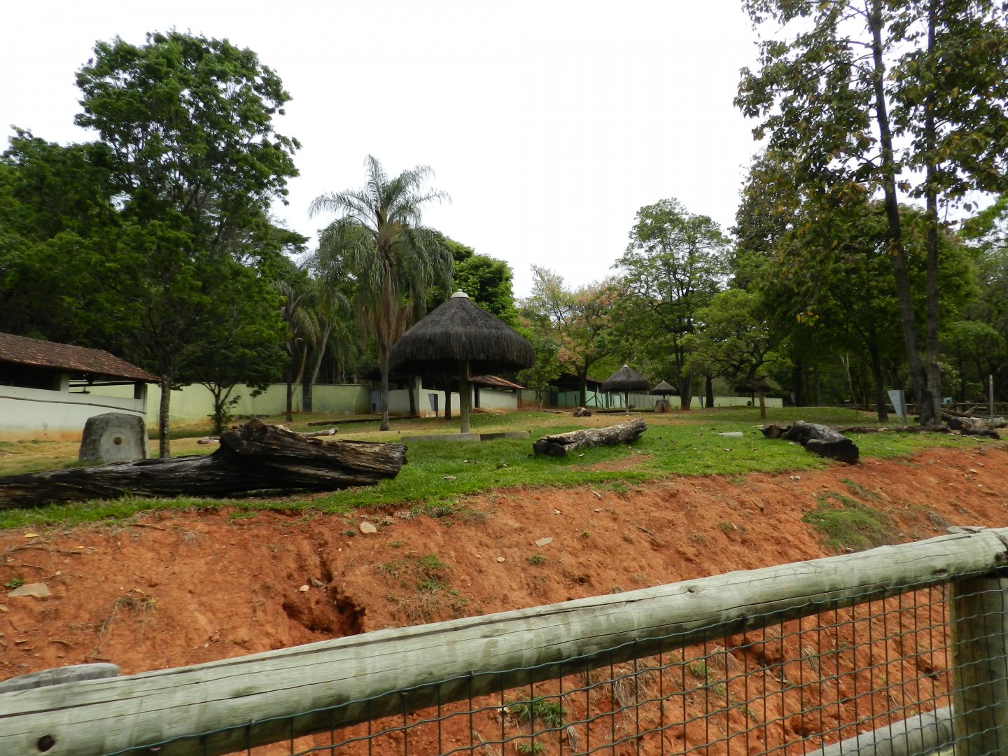 The big cerrado biome exhibit - Belo Horizonte zoo